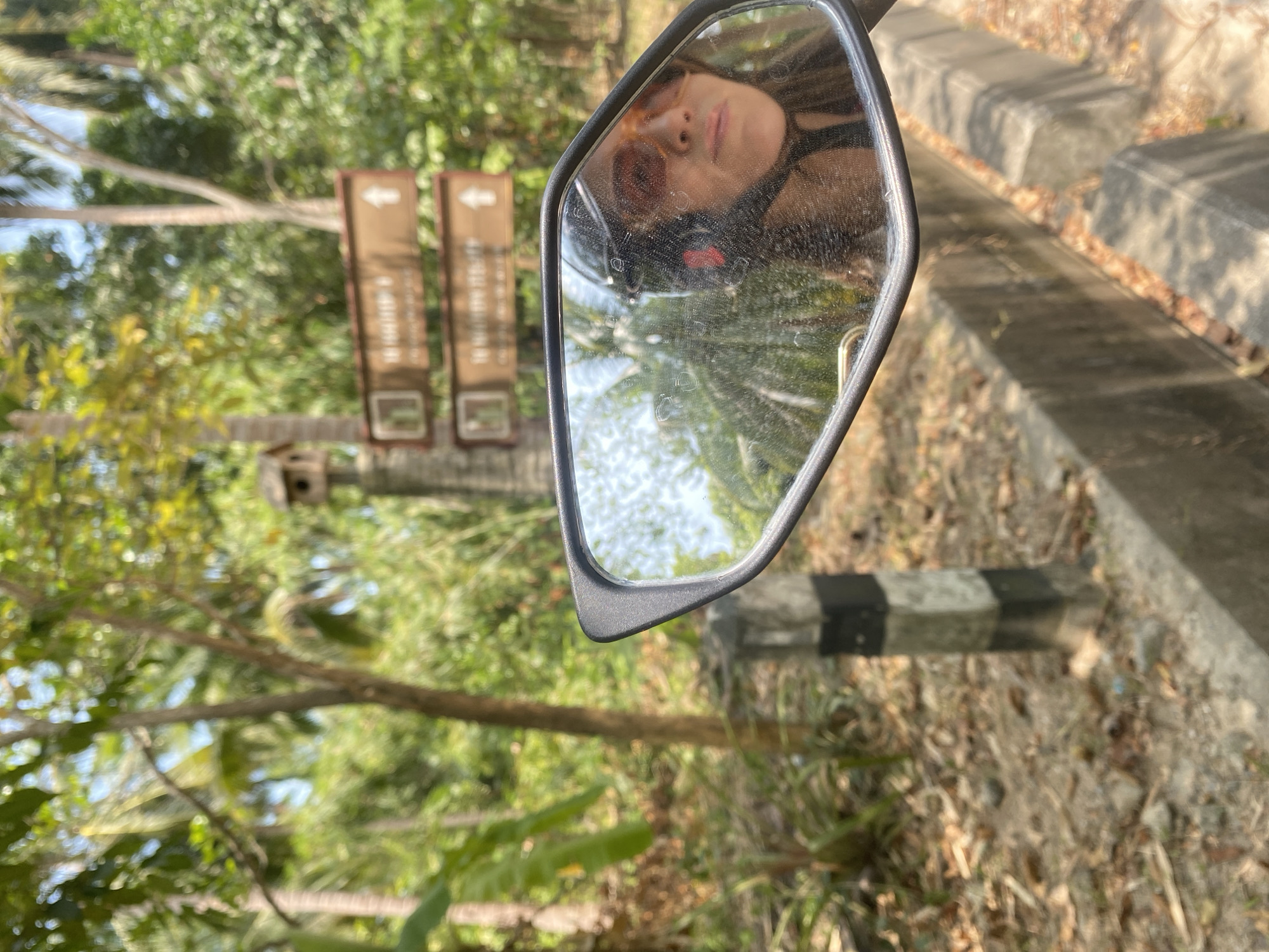 Morning motorbike ride documented on palm-lined road in Thailand