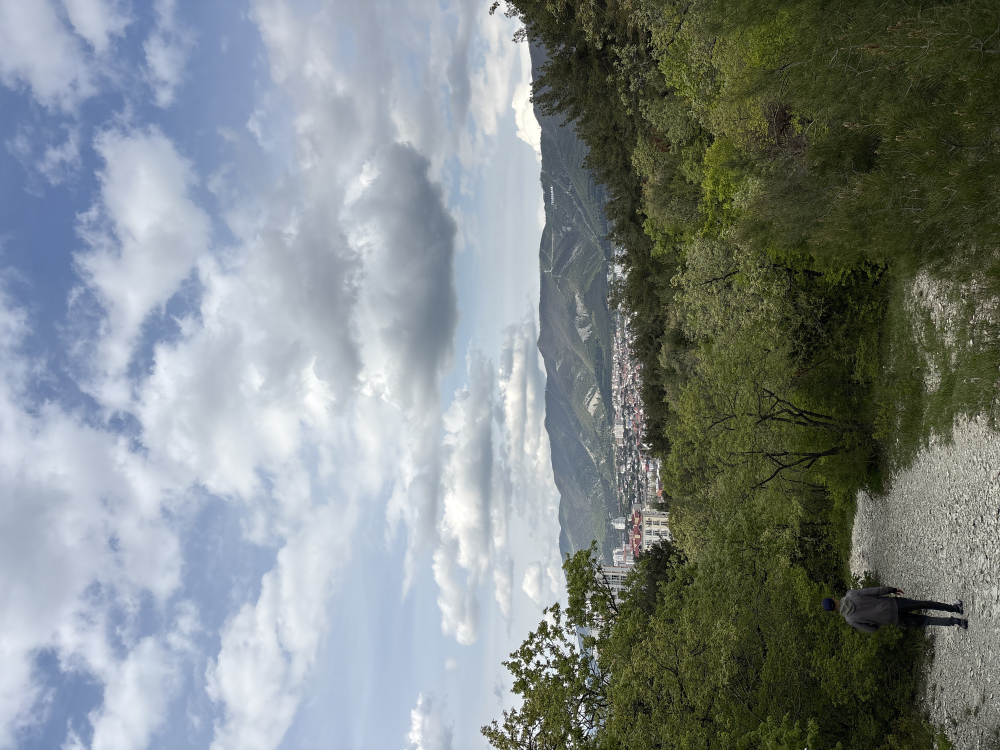 Person spotted at scenic overlook, pine forest in Gelendzhik