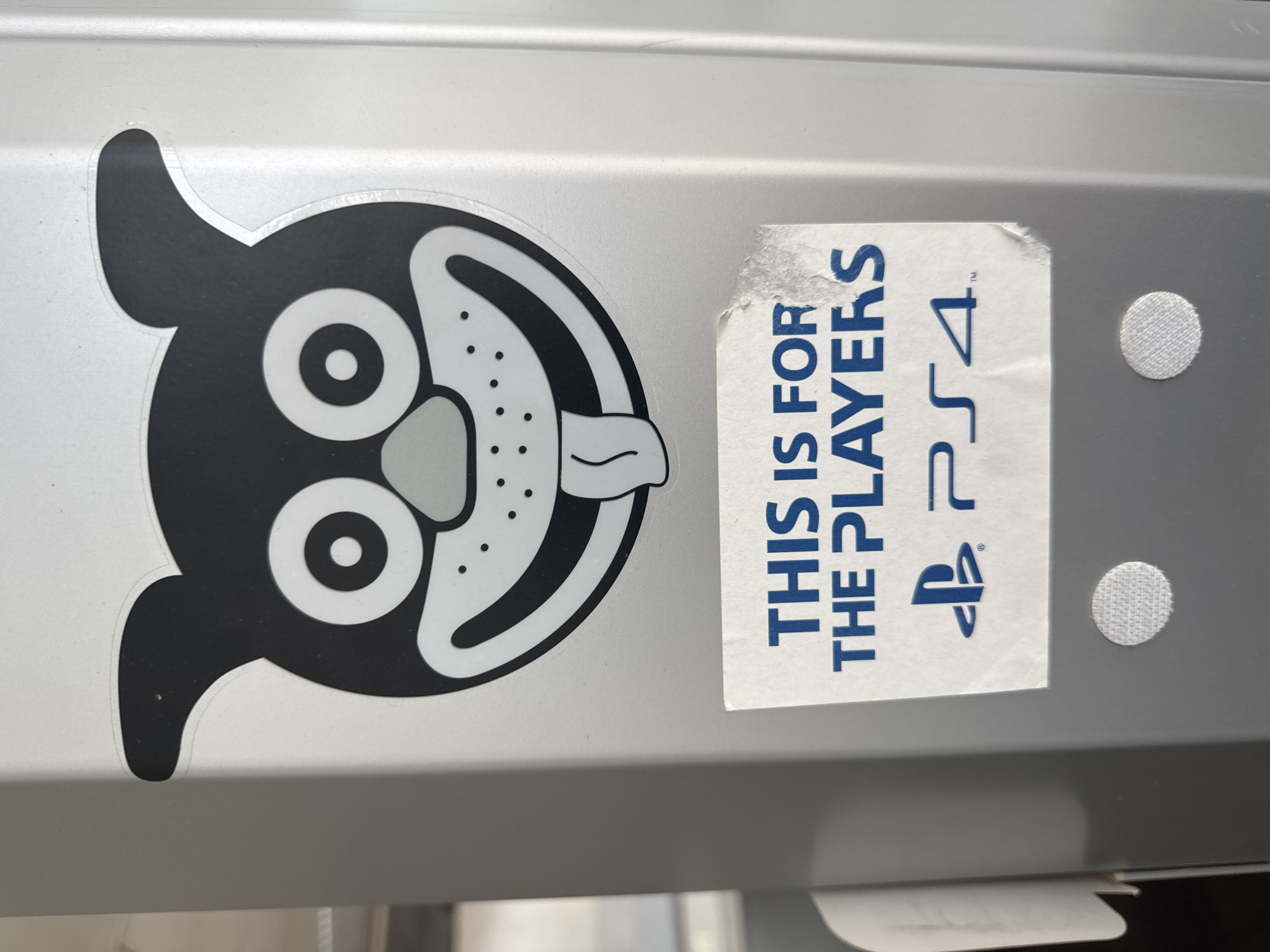 Cartoon dog sticker on a grey metallic surface in Raanana