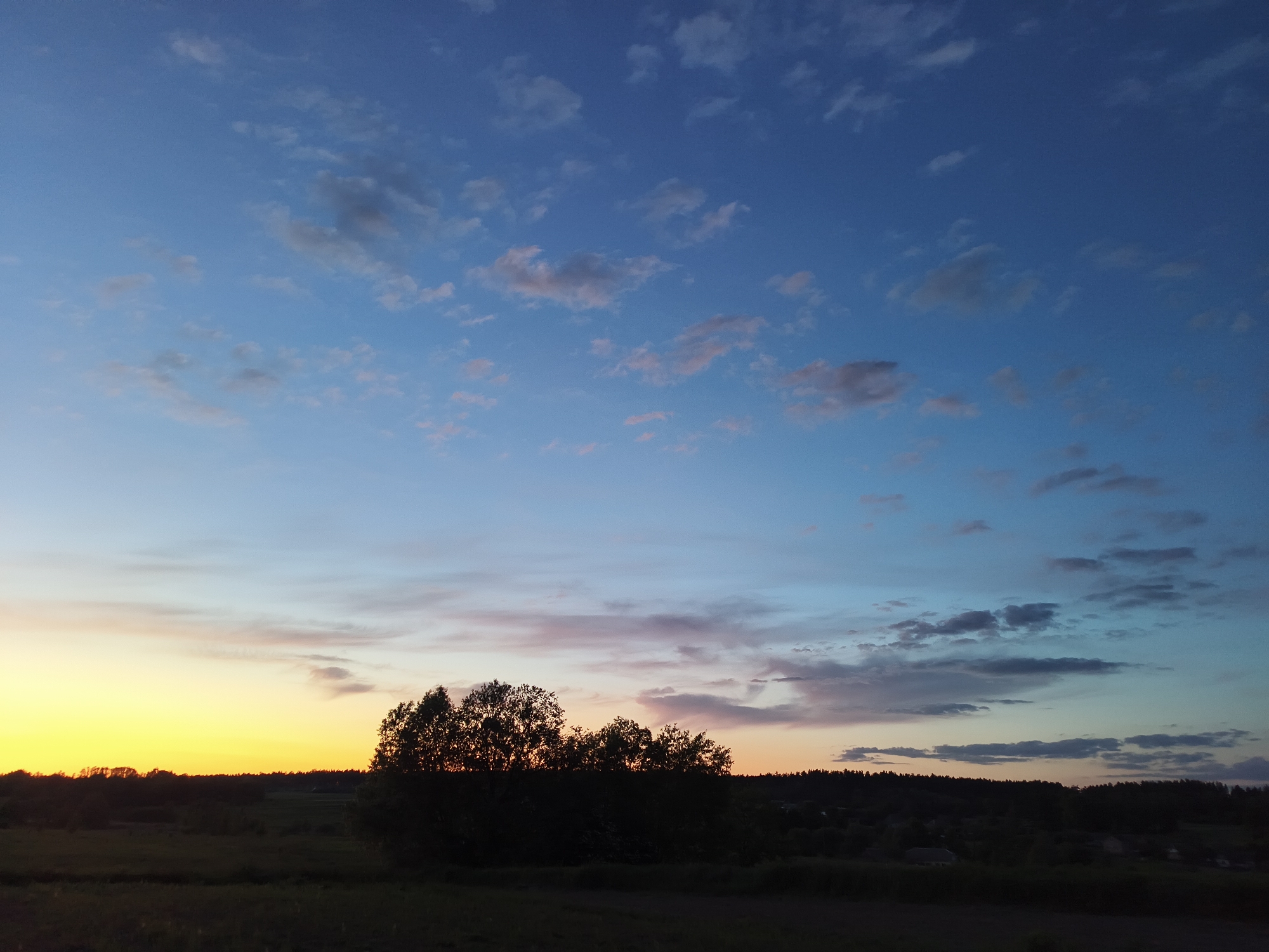 Rural landscapes documented during spring evening in Ukrainian countryside
