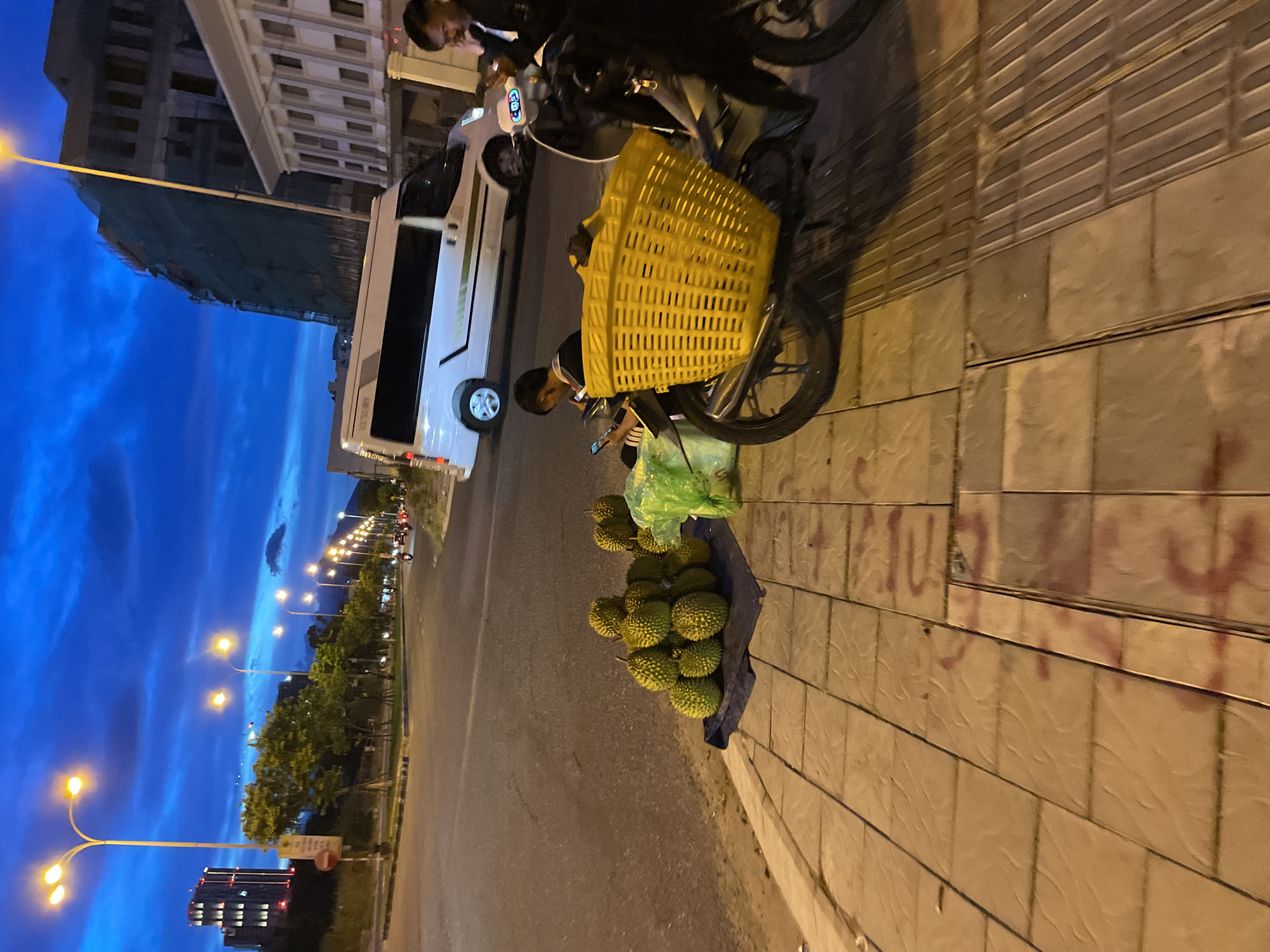 Da Nang at dusk: streets, temples, and fireworks signage