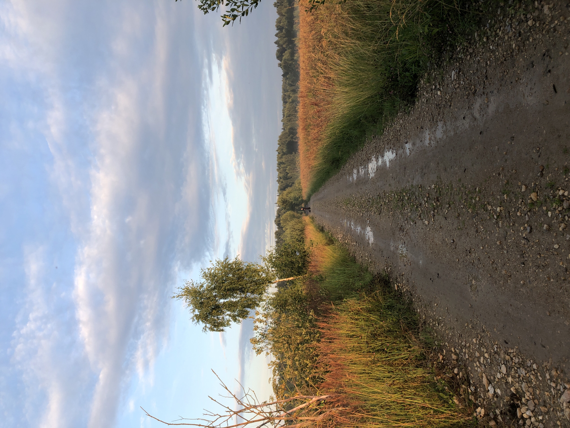Misty summer sunrise over rural fields in Makeikha, Russia