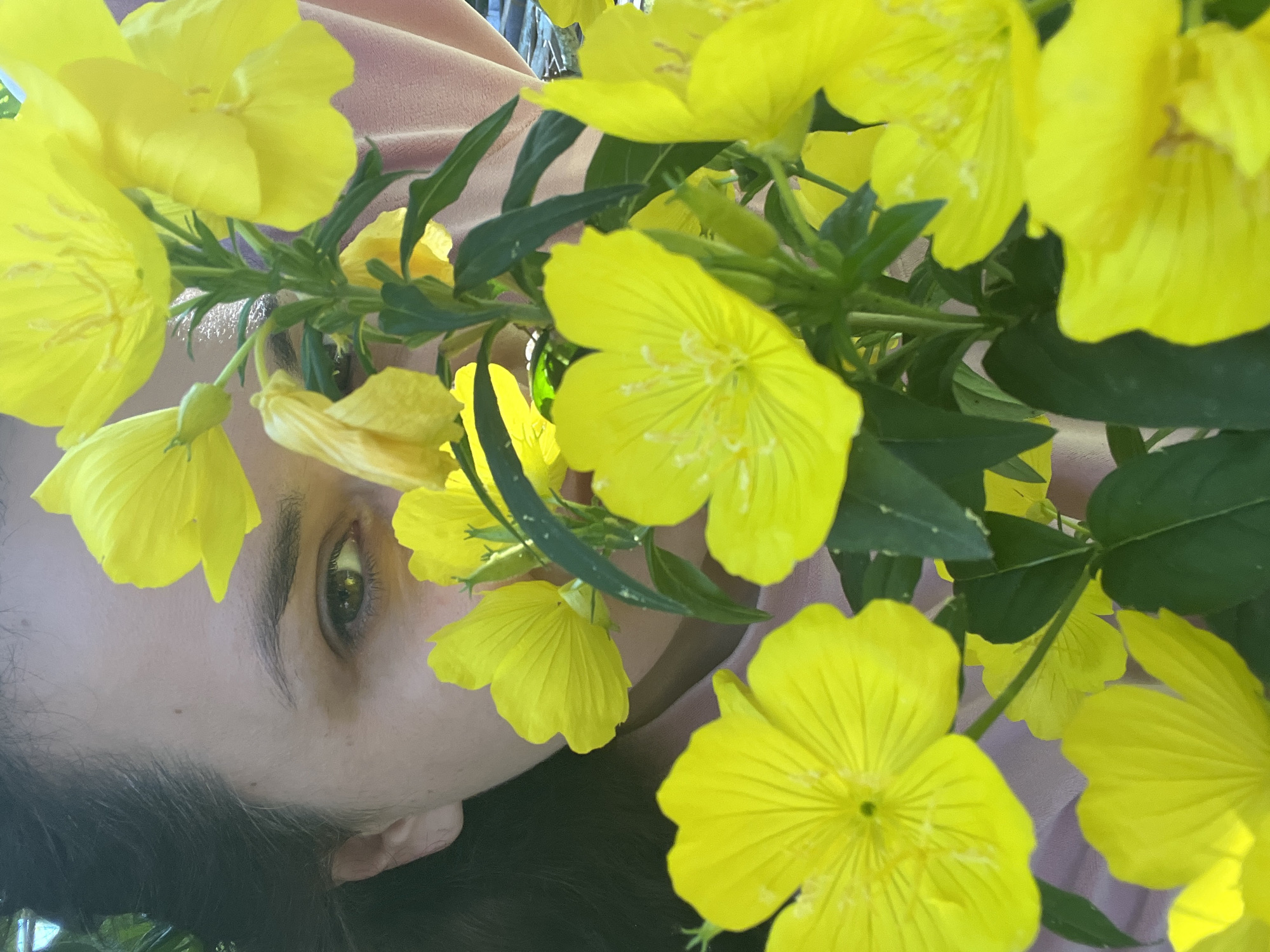 Garden moments: flowers, pets, and quiet discoveries