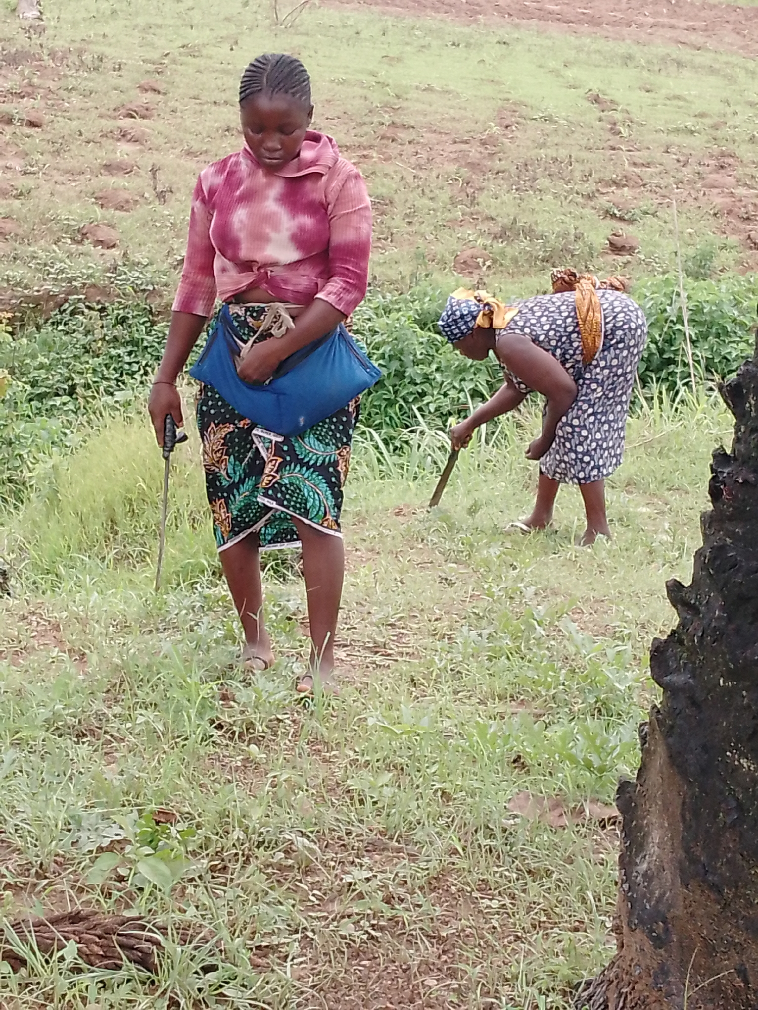 Rural fieldwork and daily life in a tropical village setting