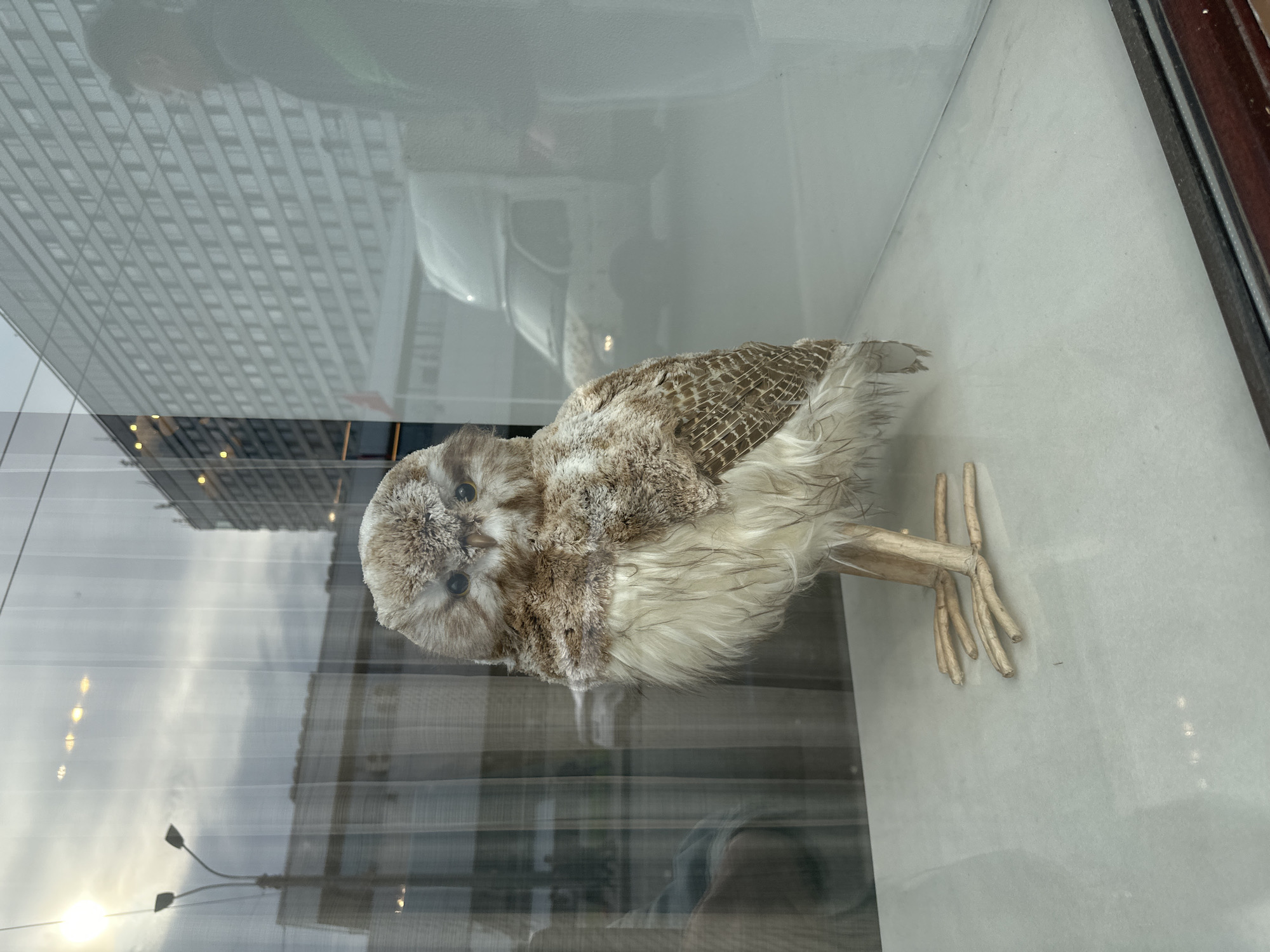 Saint Petersburg street scenes include emergency response, storefront display