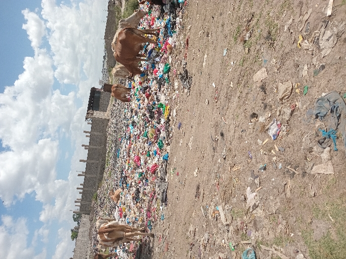 Daily life documented across Nairobi neighborhoods and communities