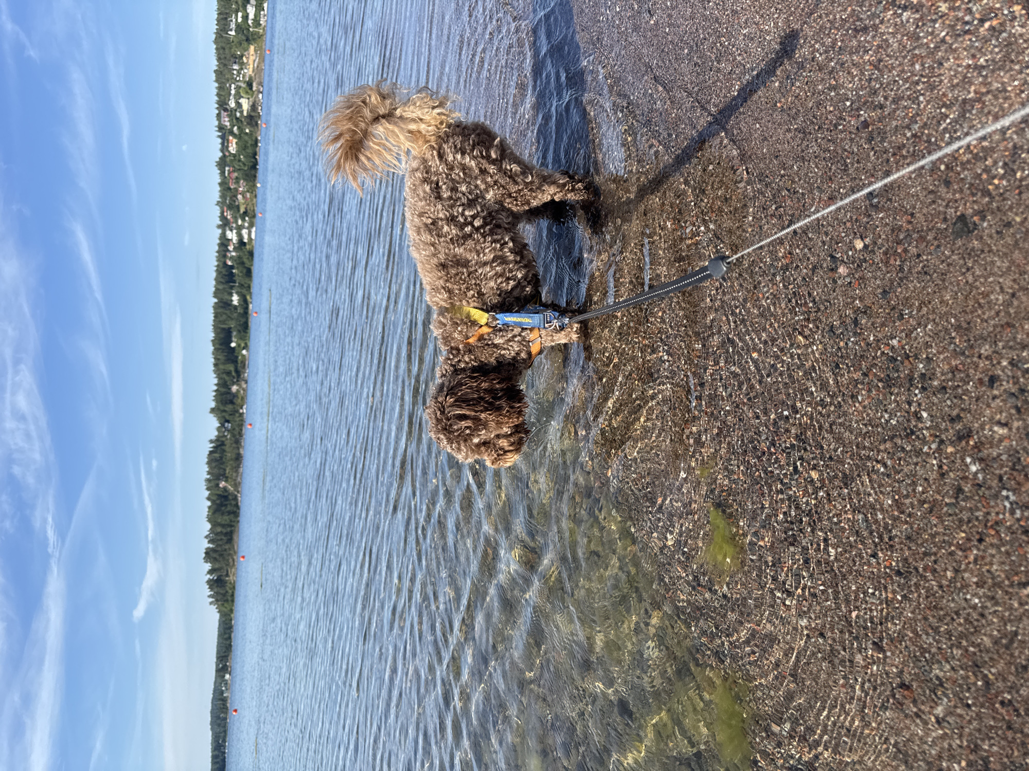 Quiet summer morning along the Österskär waterfront