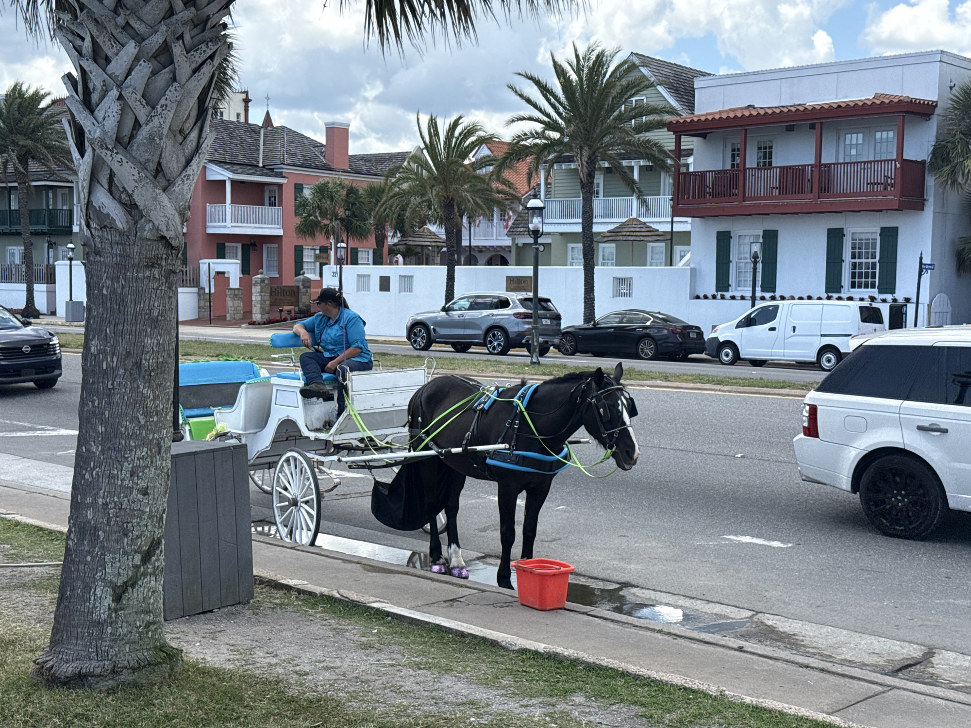 Tourist scenes documented across historic Saint Augustine during afternoon hours