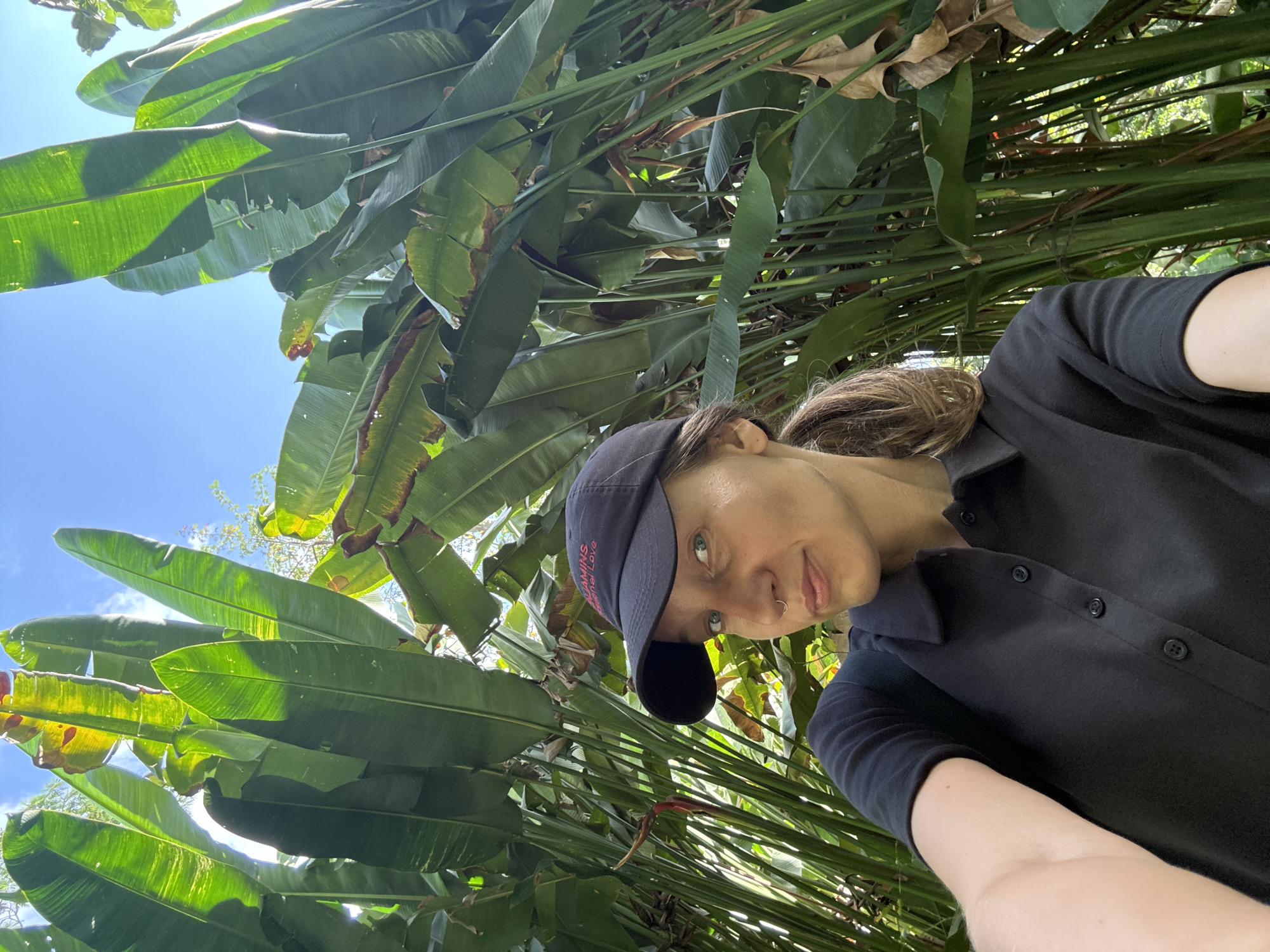 Morning stroll through a tropical garden in Kuta Selatan