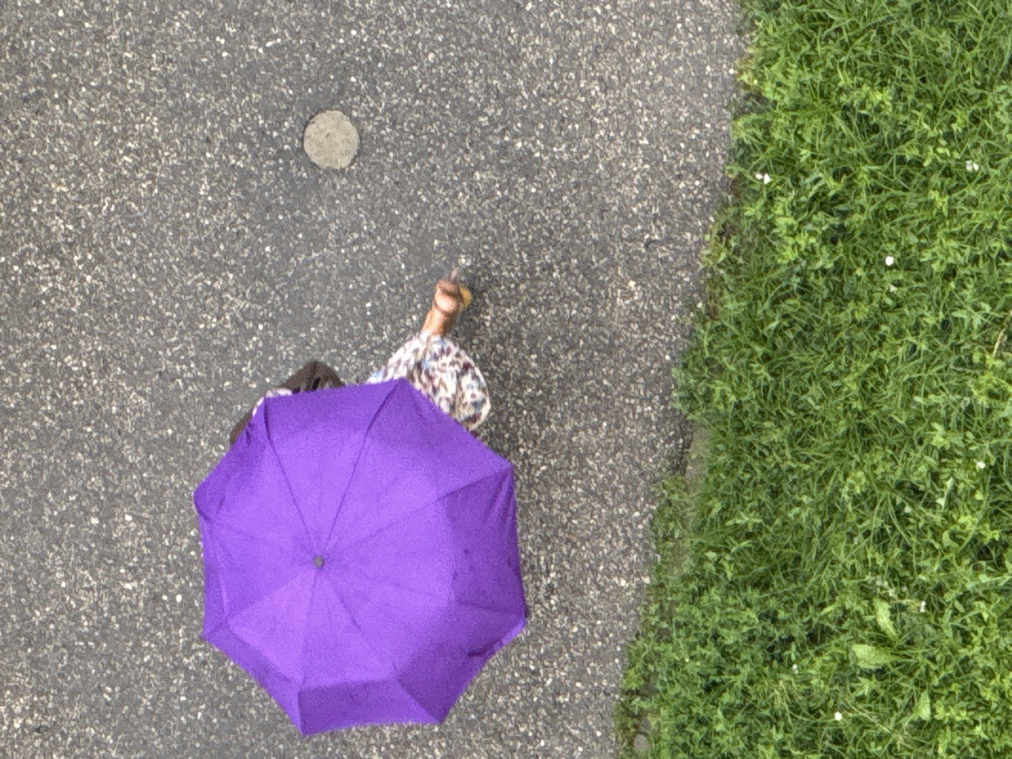 Rainy morning street activity in Nizhny Novgorod, robot and all.