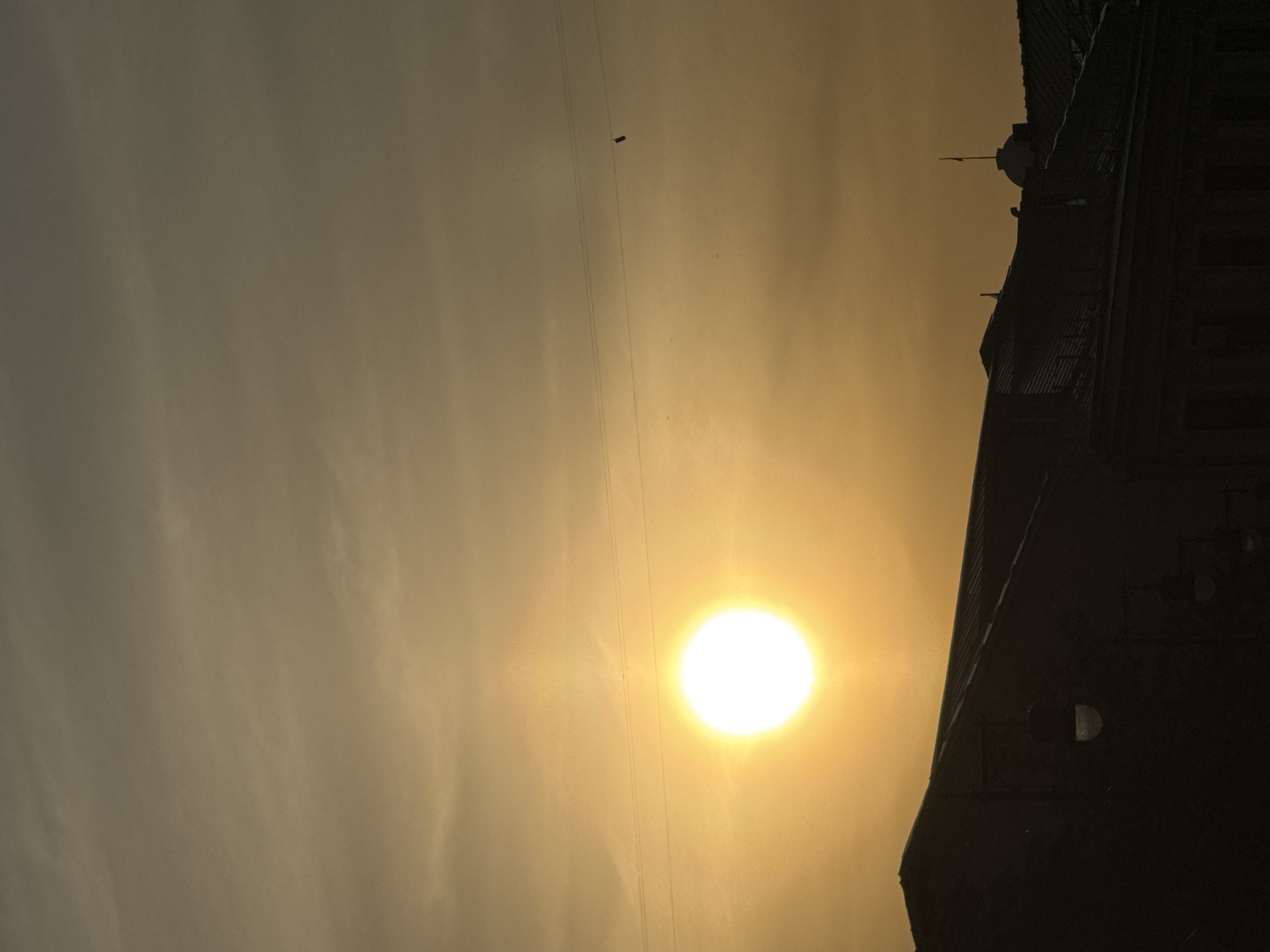 Golden sunset observed through power lines in Moscow