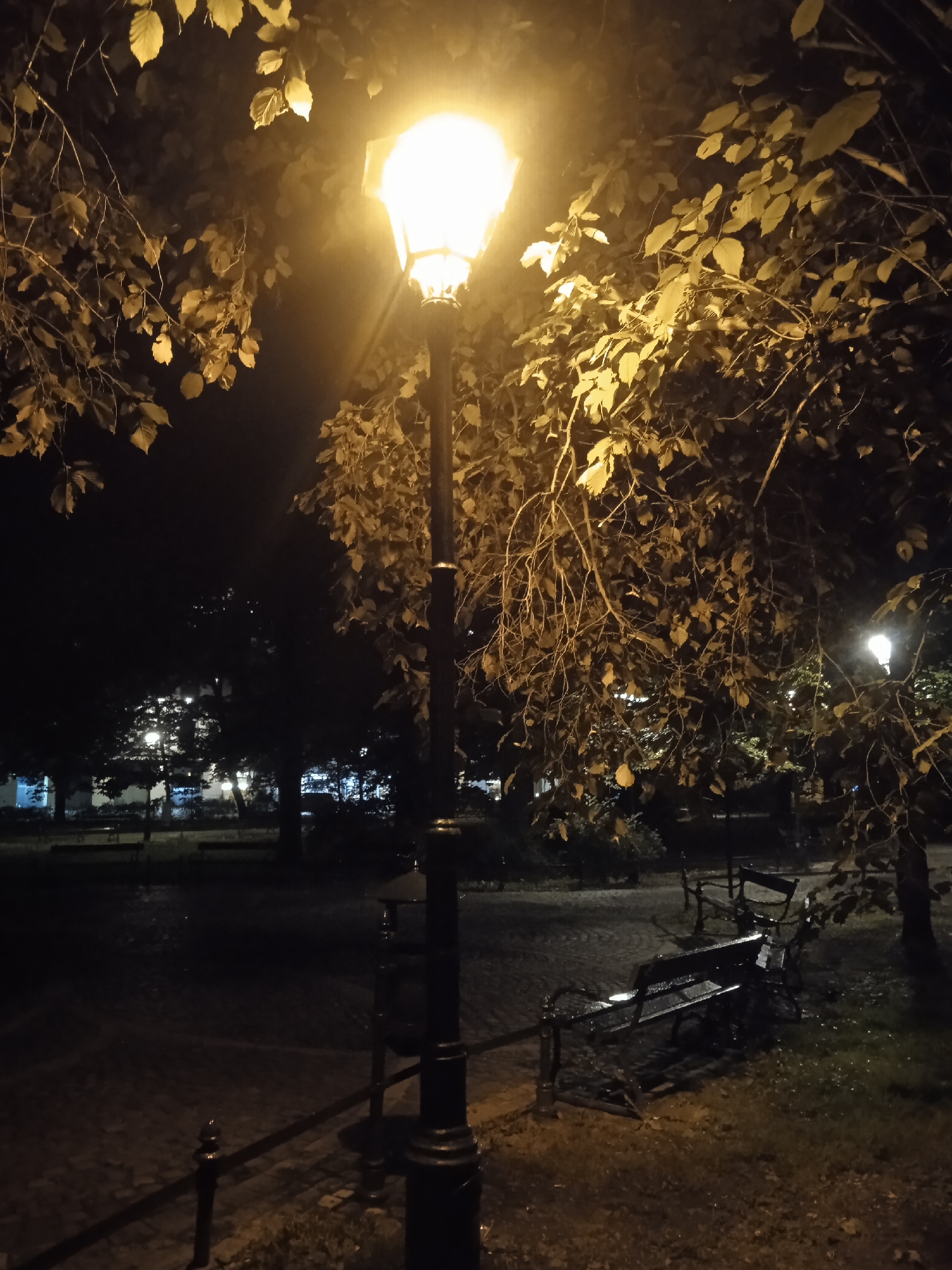 Nighttime stroll through a quiet urban park