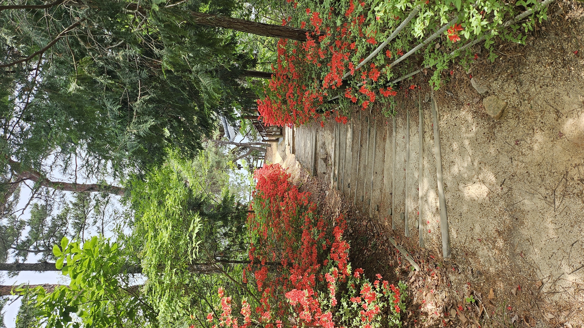 Traditional pavilion and flower-lined walkway documented in Ulsan park