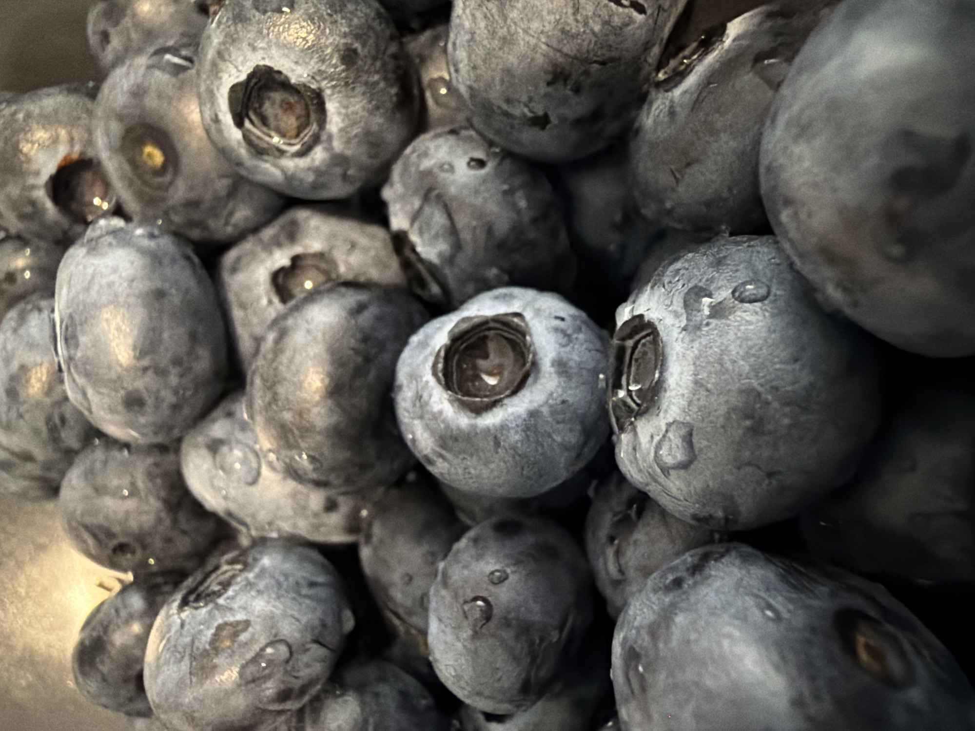 Fresh blueberries up close, water droplets and all