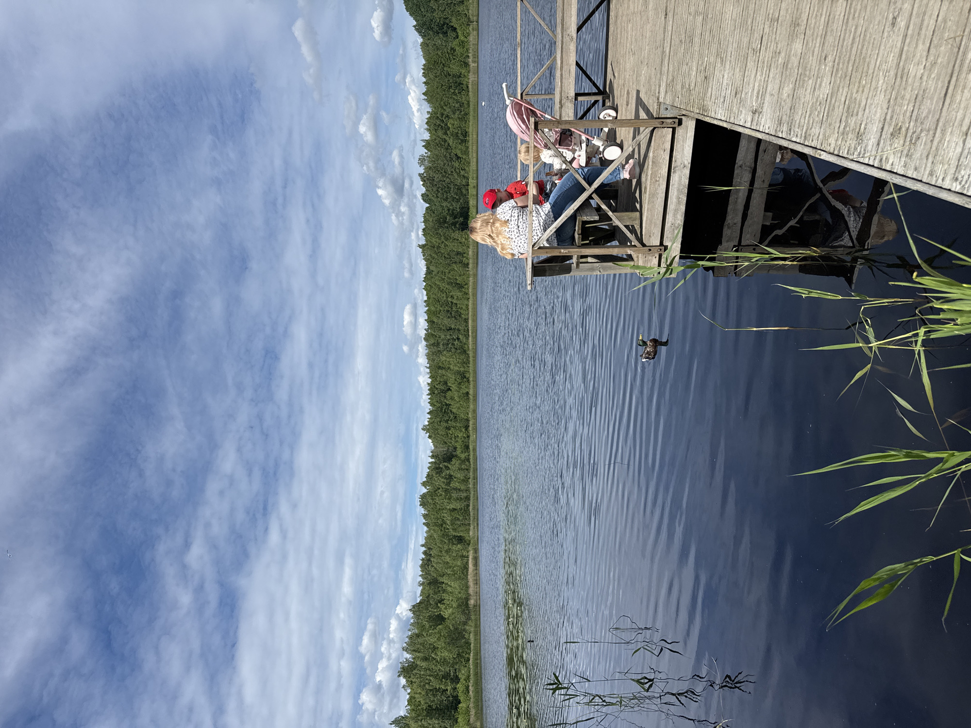 Summer morning at a Finnish lakeside park with mini-golf