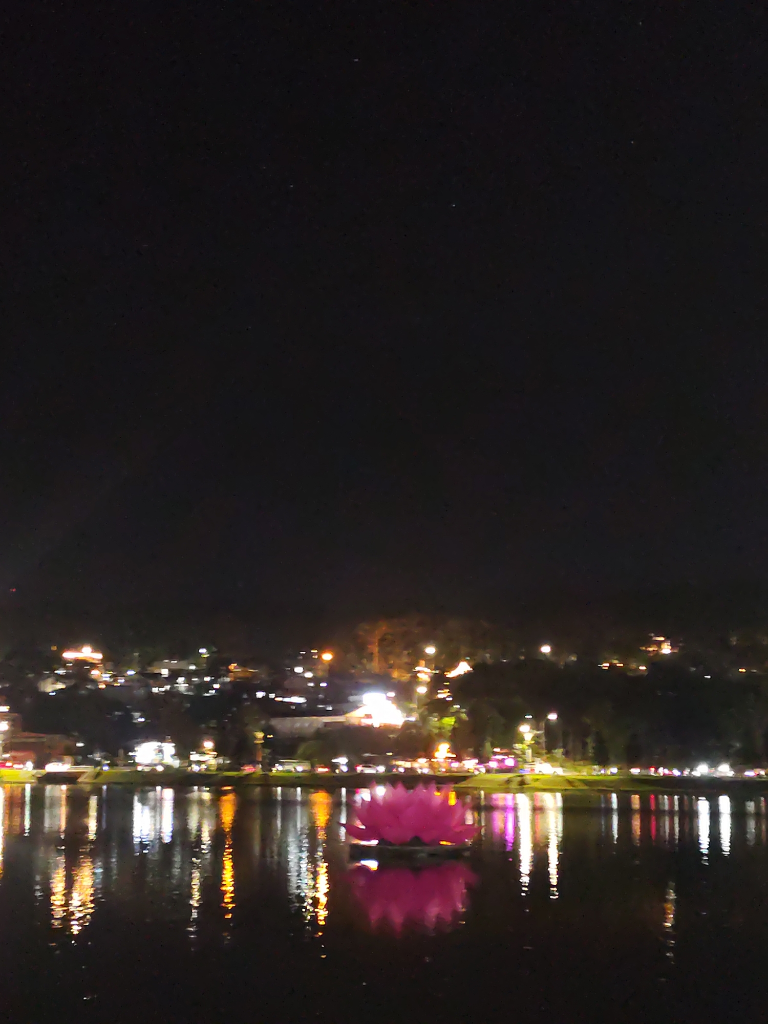 Illuminated lotus display draws evening visitors to Da Lat lake