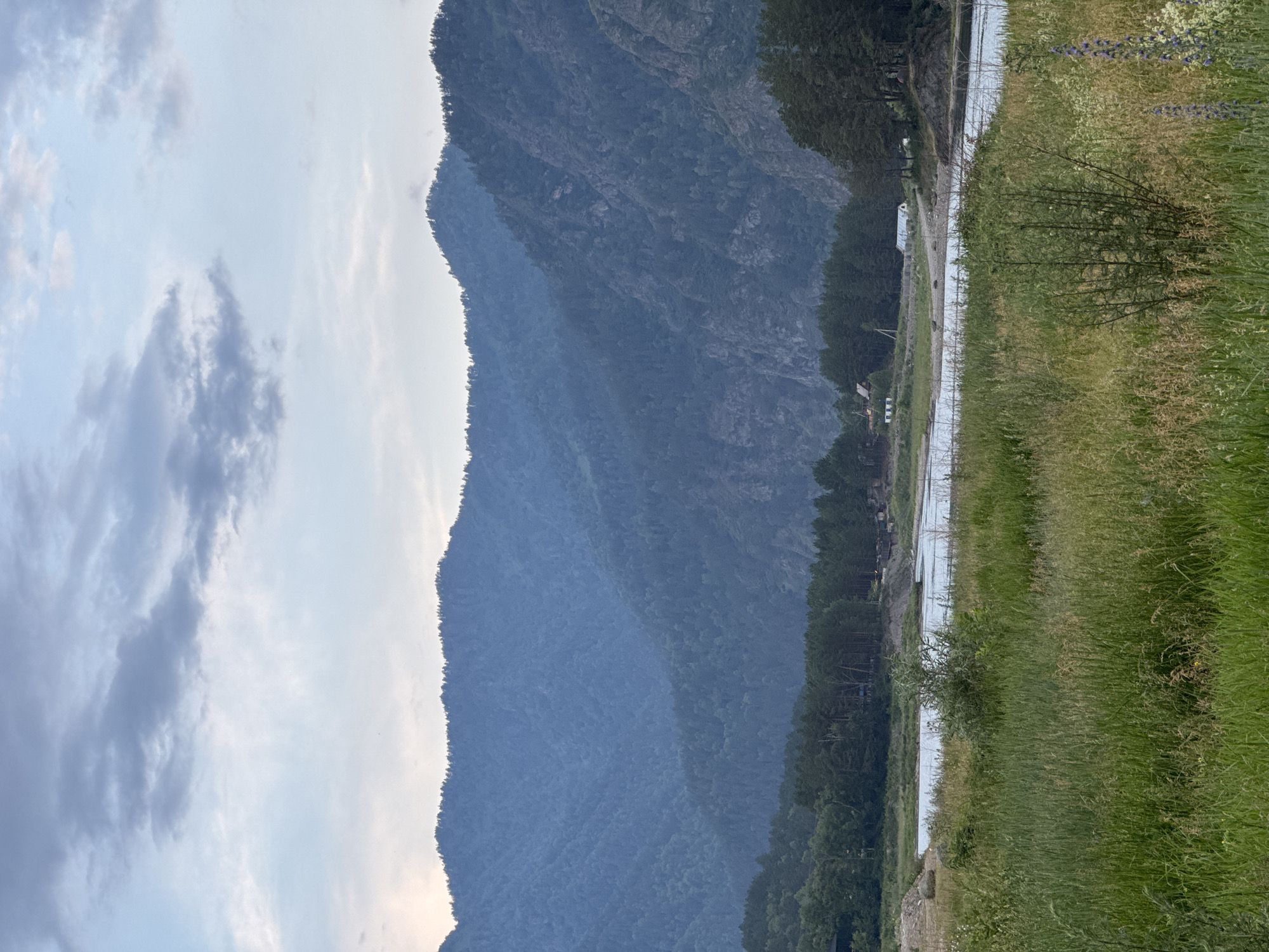 Lazy afternoon in the Altai mountains — nature, music, and camp life