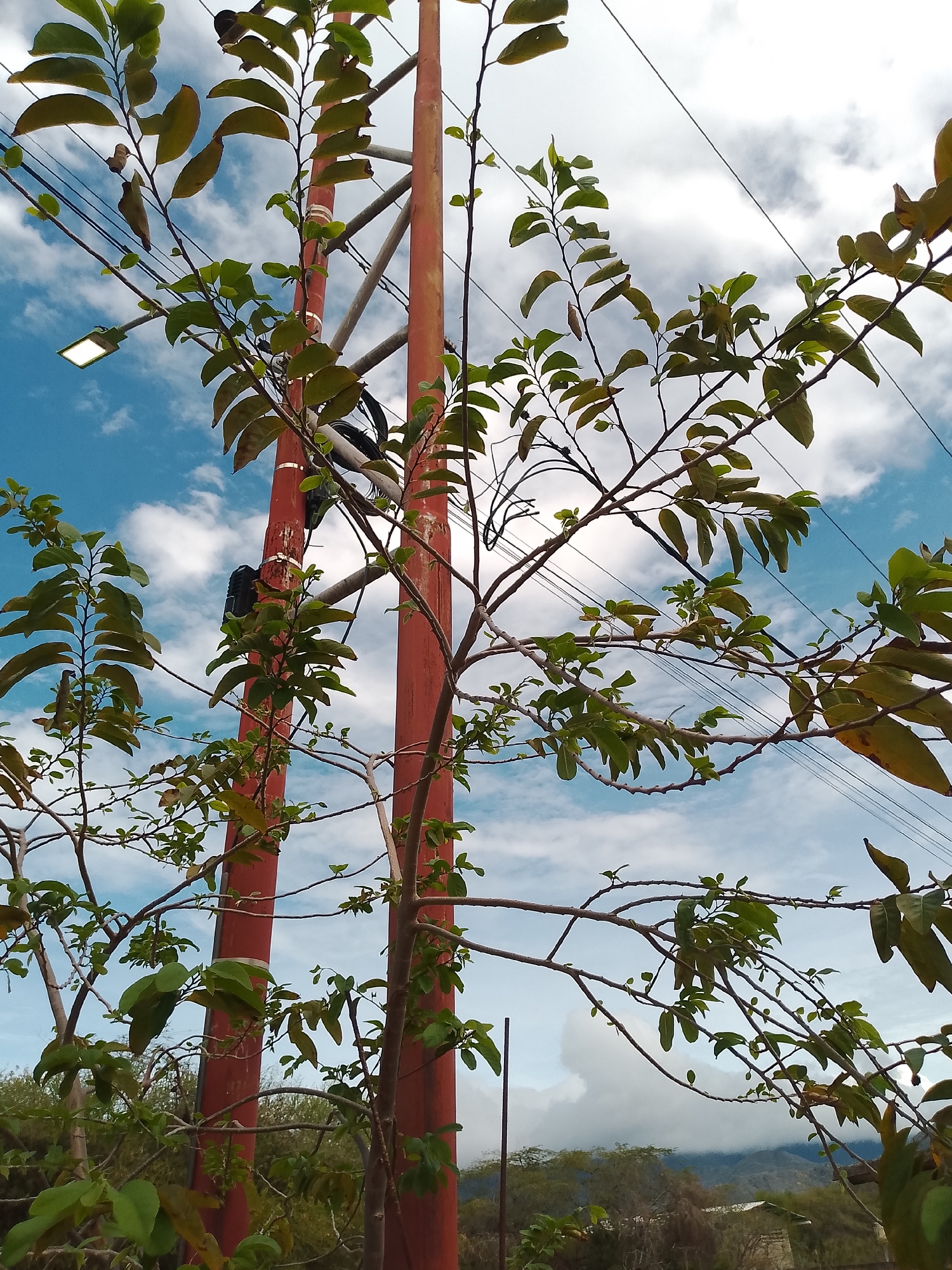 Everyday life documented in Santa Ana, Venezuela residential area