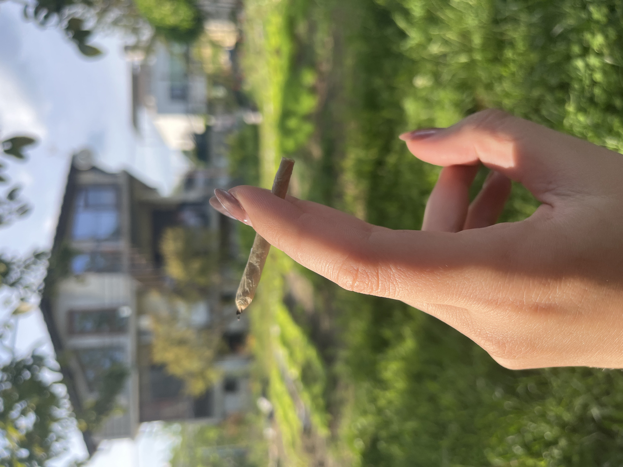 Smoking break near vegetable garden documented in Varna
