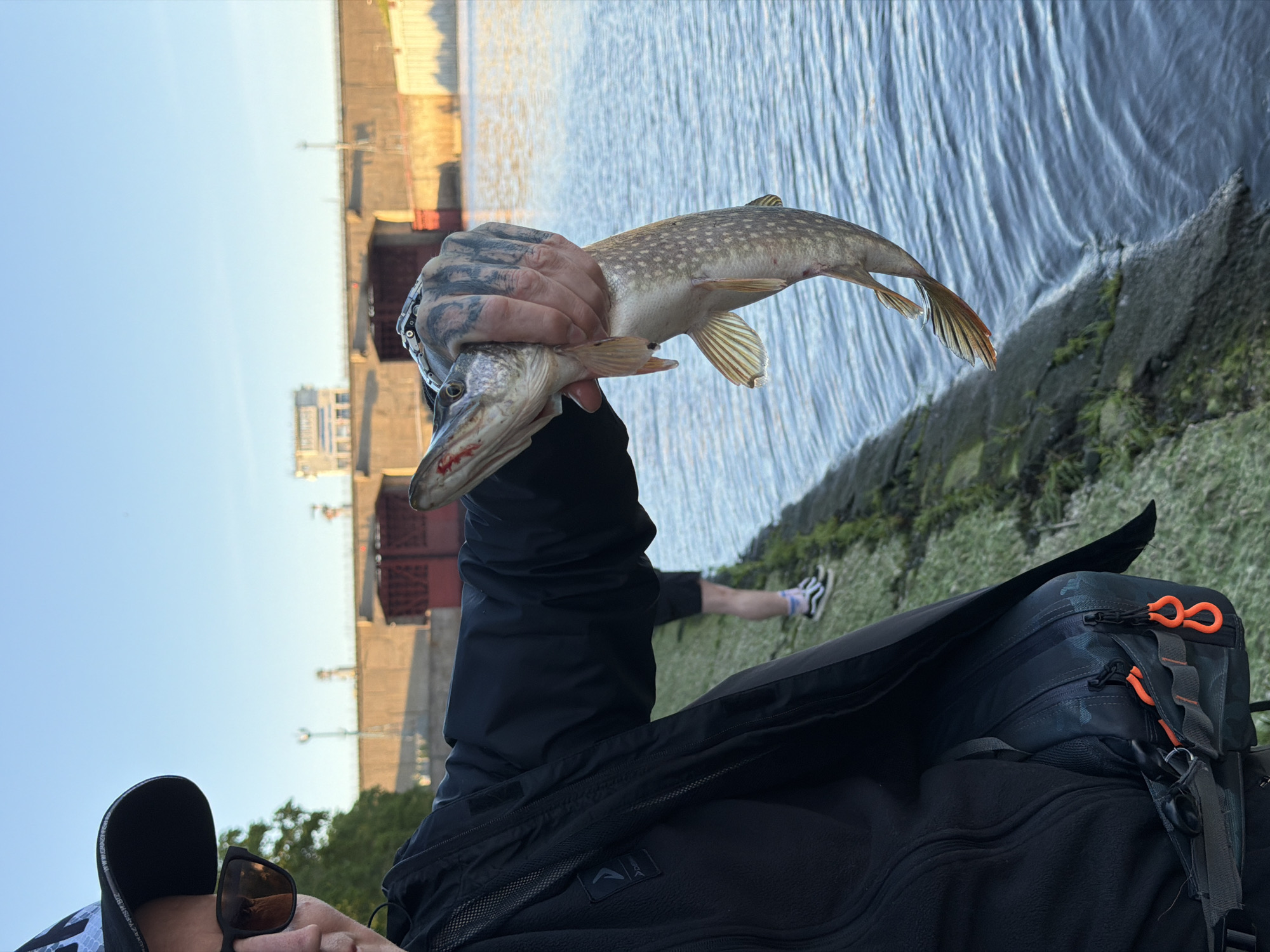 Angler displays caught northern pike in Chaikovsky, Russia