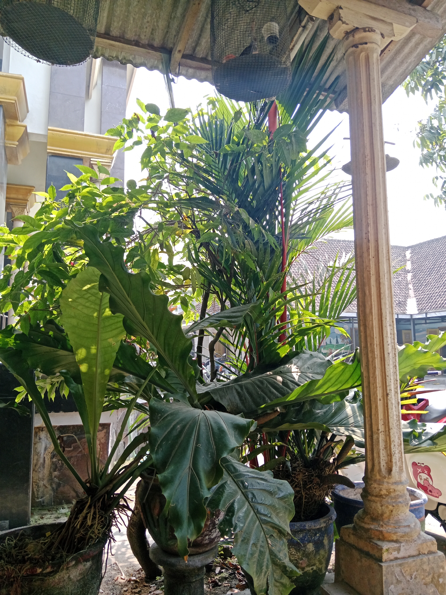 Everyday life around a residential compound in rural East Java
