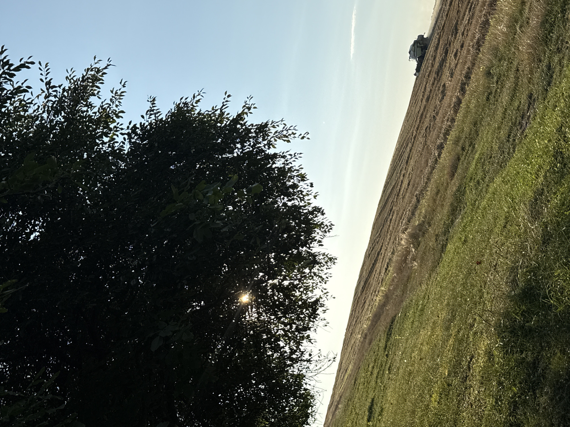 Harvest day: combines, dust, and wildlife in golden fields