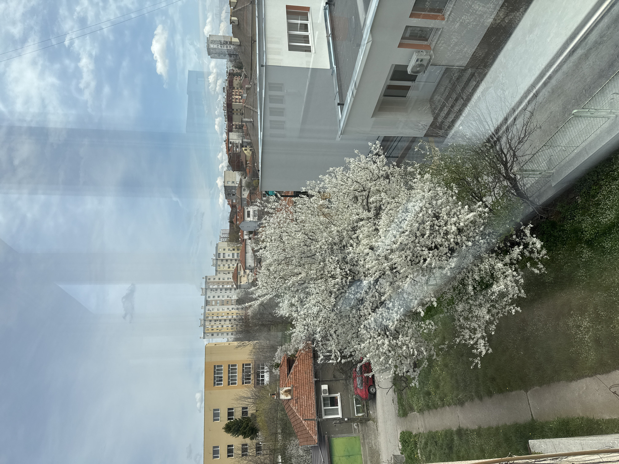 Casual afternoon at home with takeout in Haskovo Bulgaria