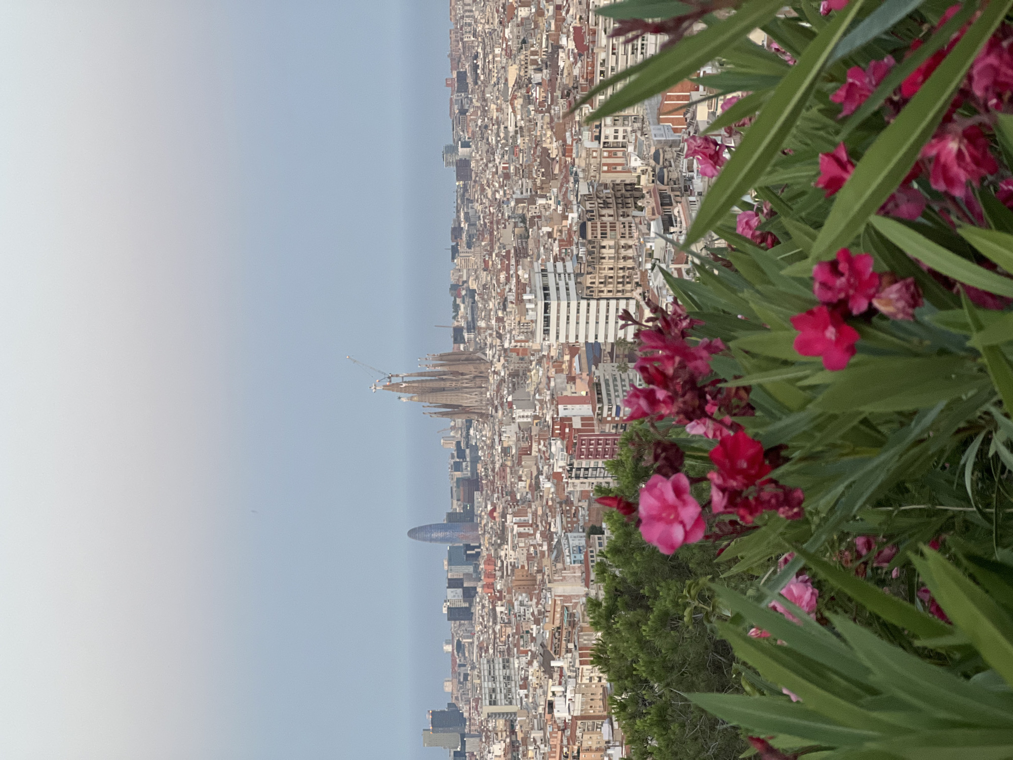 Barcelona at dusk, from hilltop views to a Pilates studio