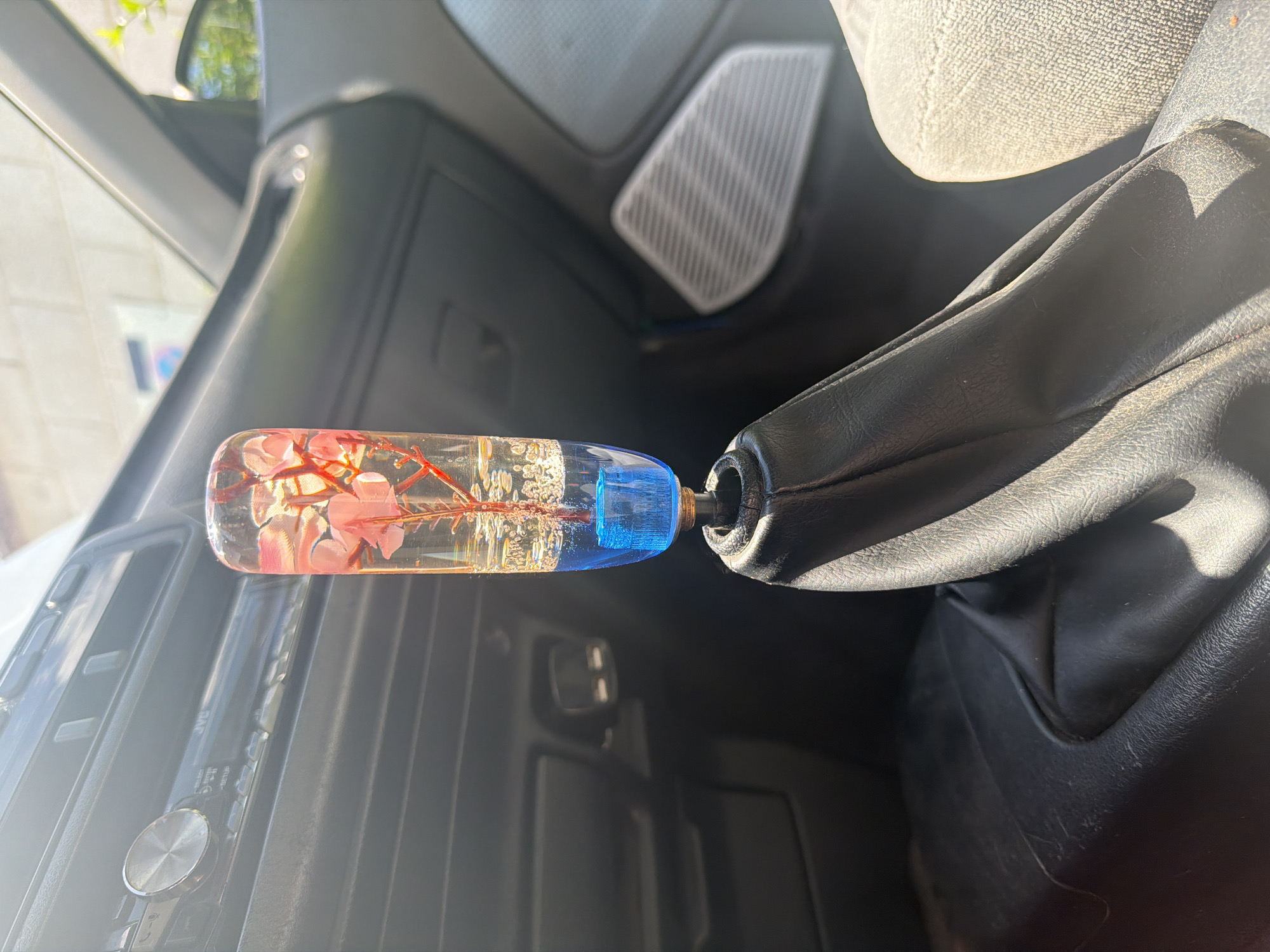 Dog travels in decorated car interior, Varna Bulgaria
