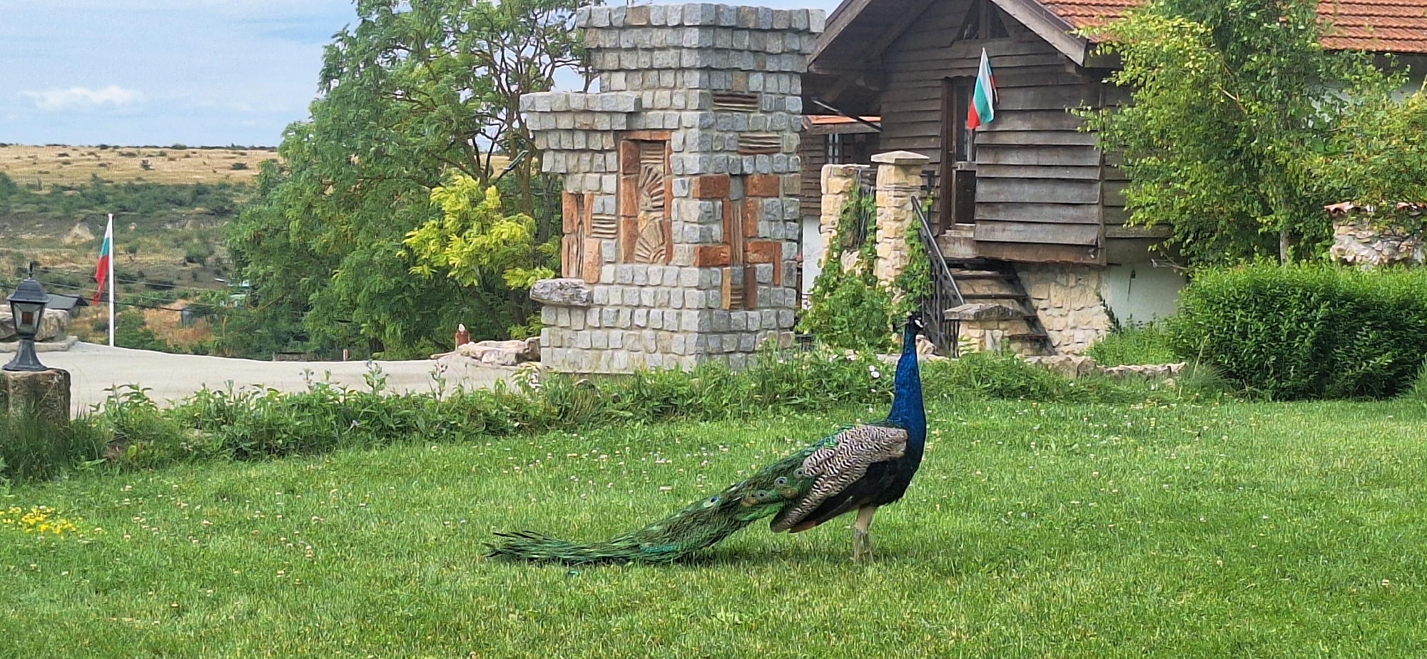 Rustic Bulgarian guesthouse complex with wildlife roaming the grounds