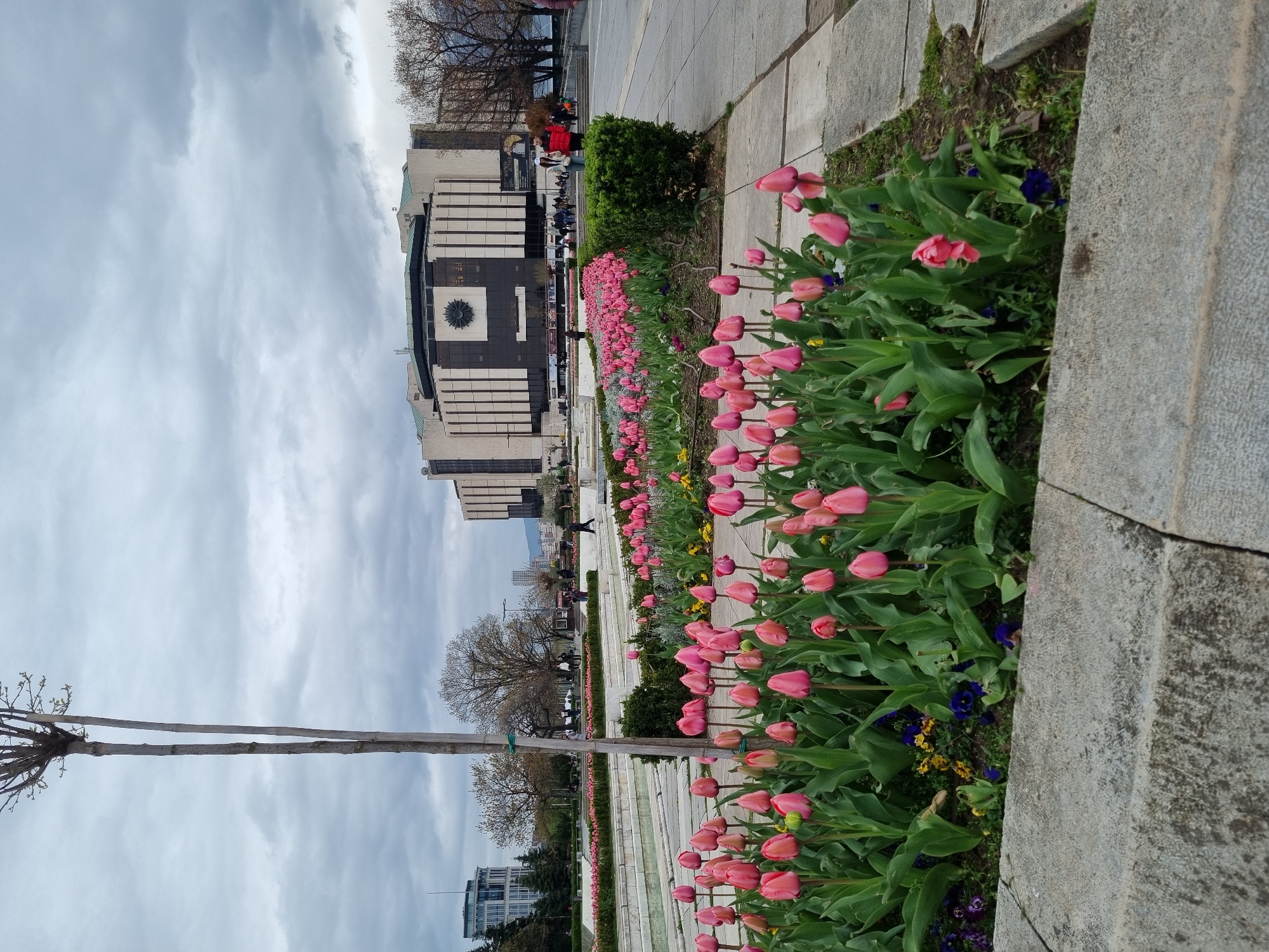 Spring blooms and city life documented across Sofia landmarks
