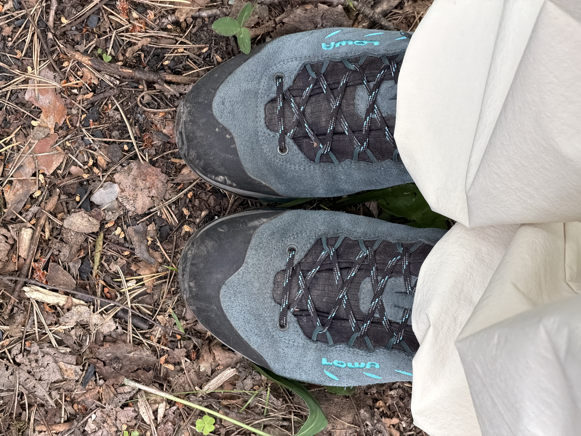 Forest hike through Kuznechnoye woodlands with wildflowers and ferns