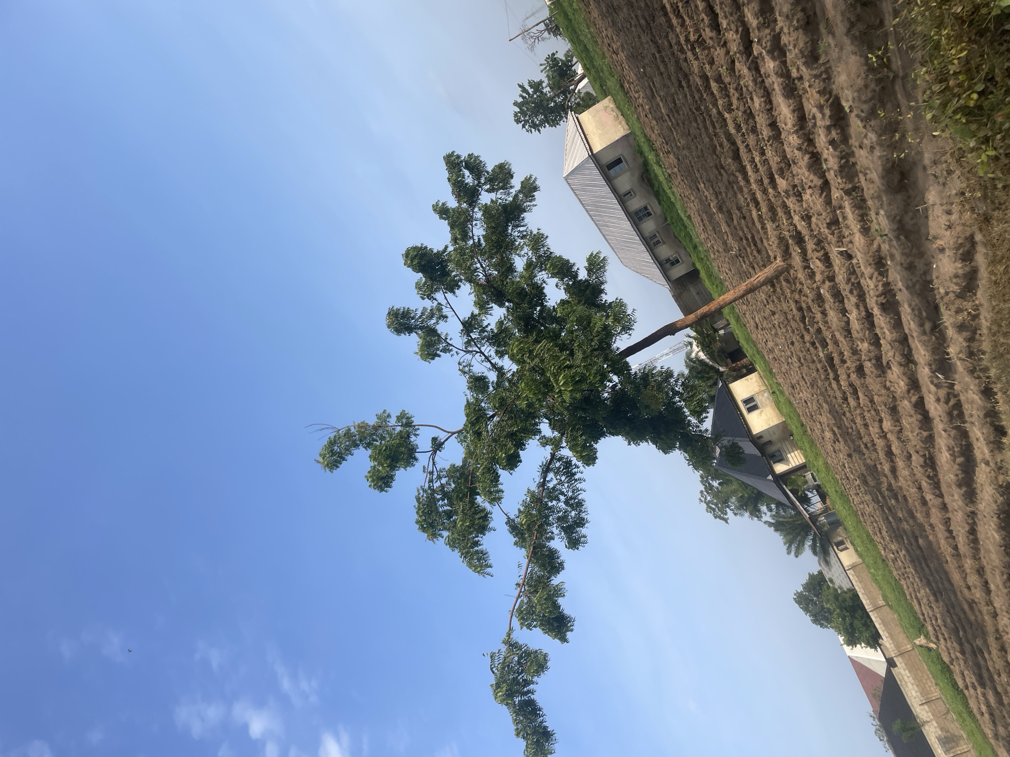 Rural Keffi, Nigeria documented in 19 photographs over 10 minutes