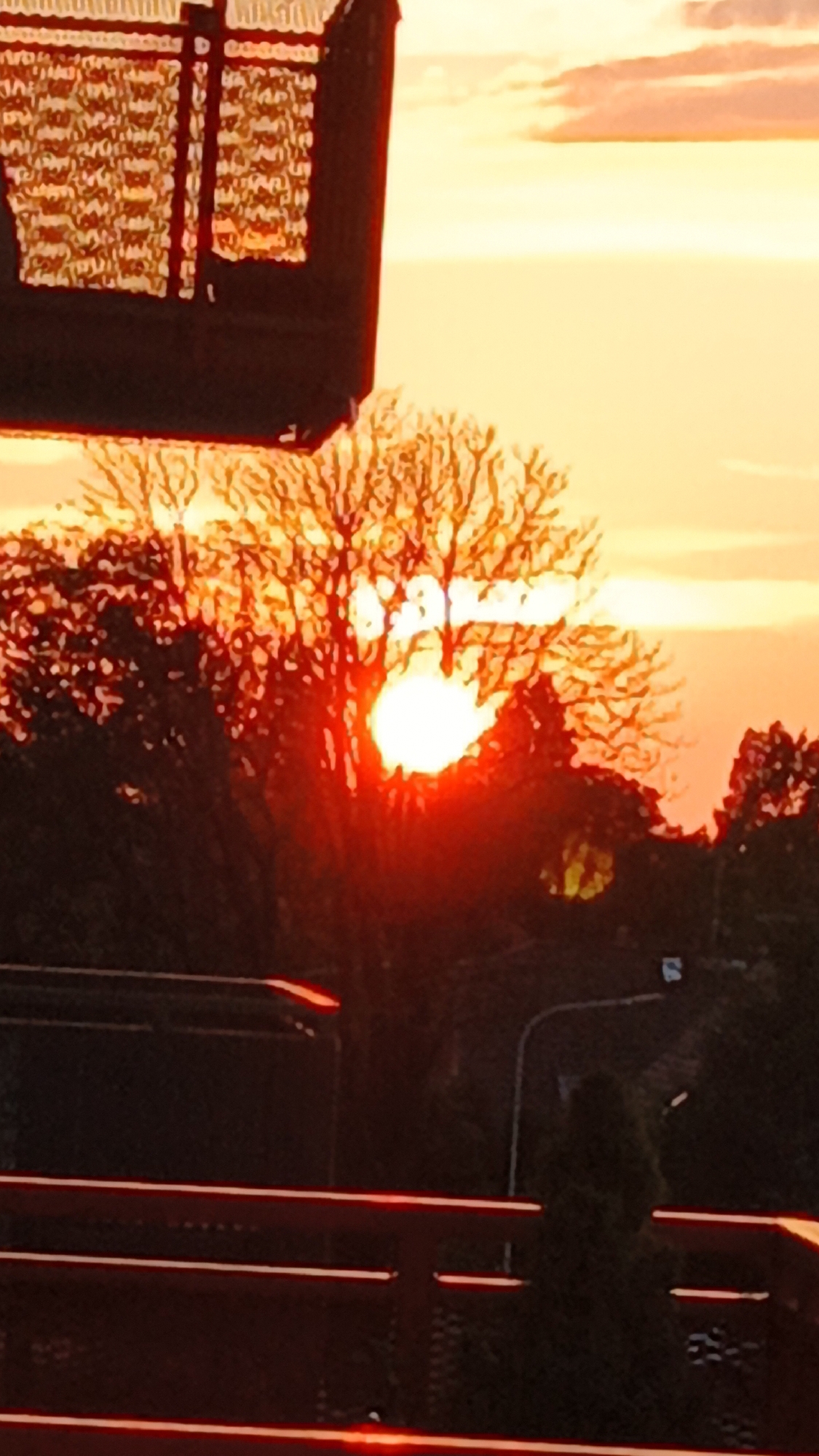Warm summer sunset through the trees in Zielona Góra