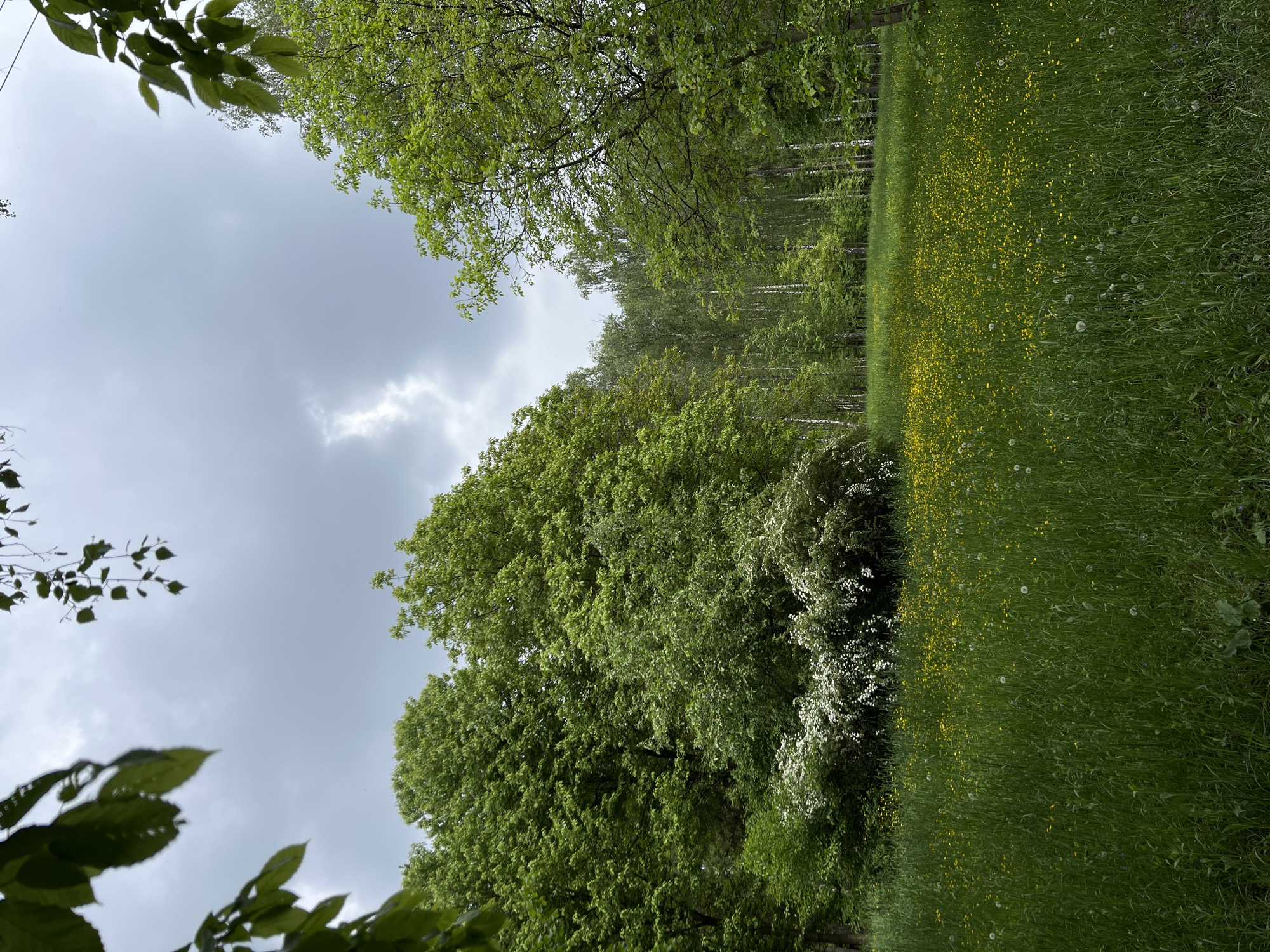 Spring park walk documented in Ternopil, Ukraine