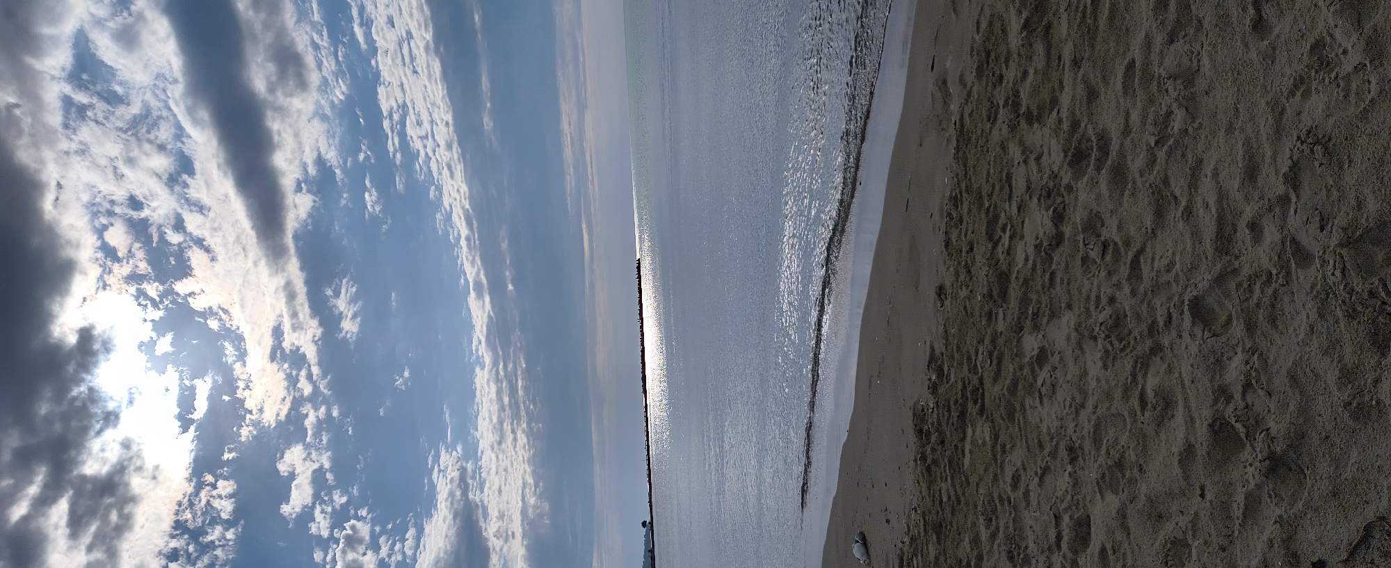 Early morning beach visit with dog in Varna, Bulgaria