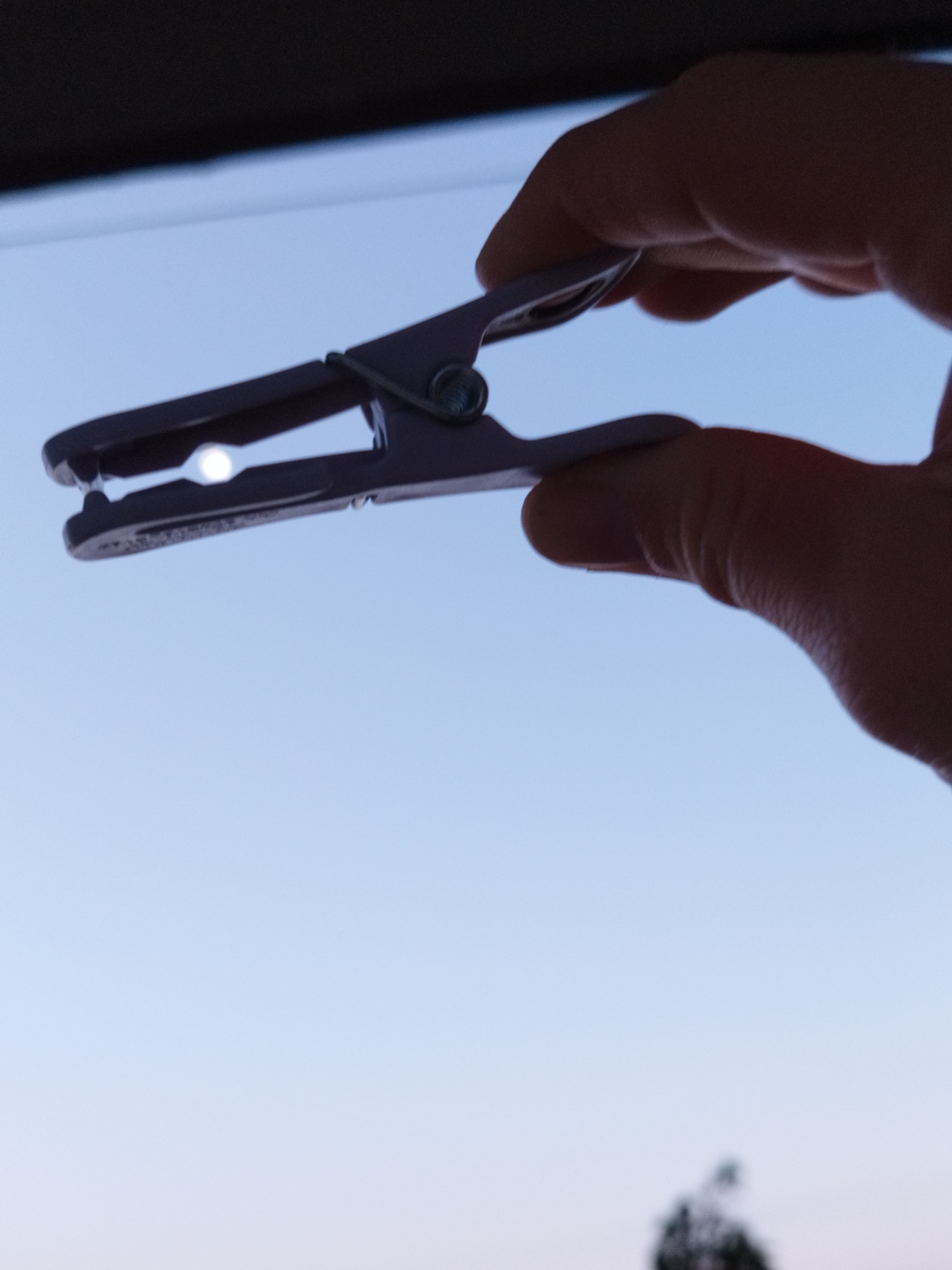 Sofia resident captures everyday moments with clothespin, light, cat