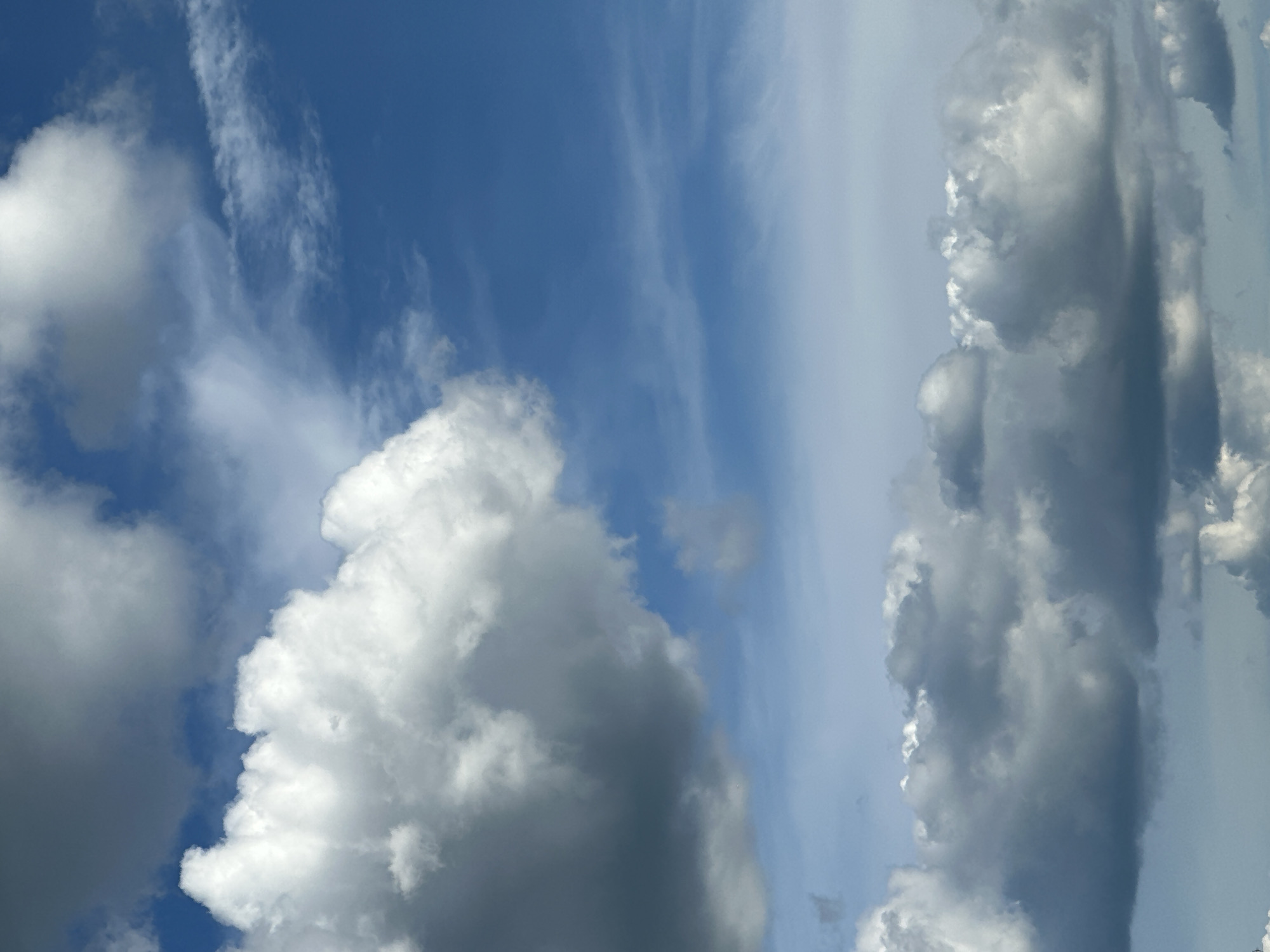 Tabby cat's lazy afternoon documented amid changing skies