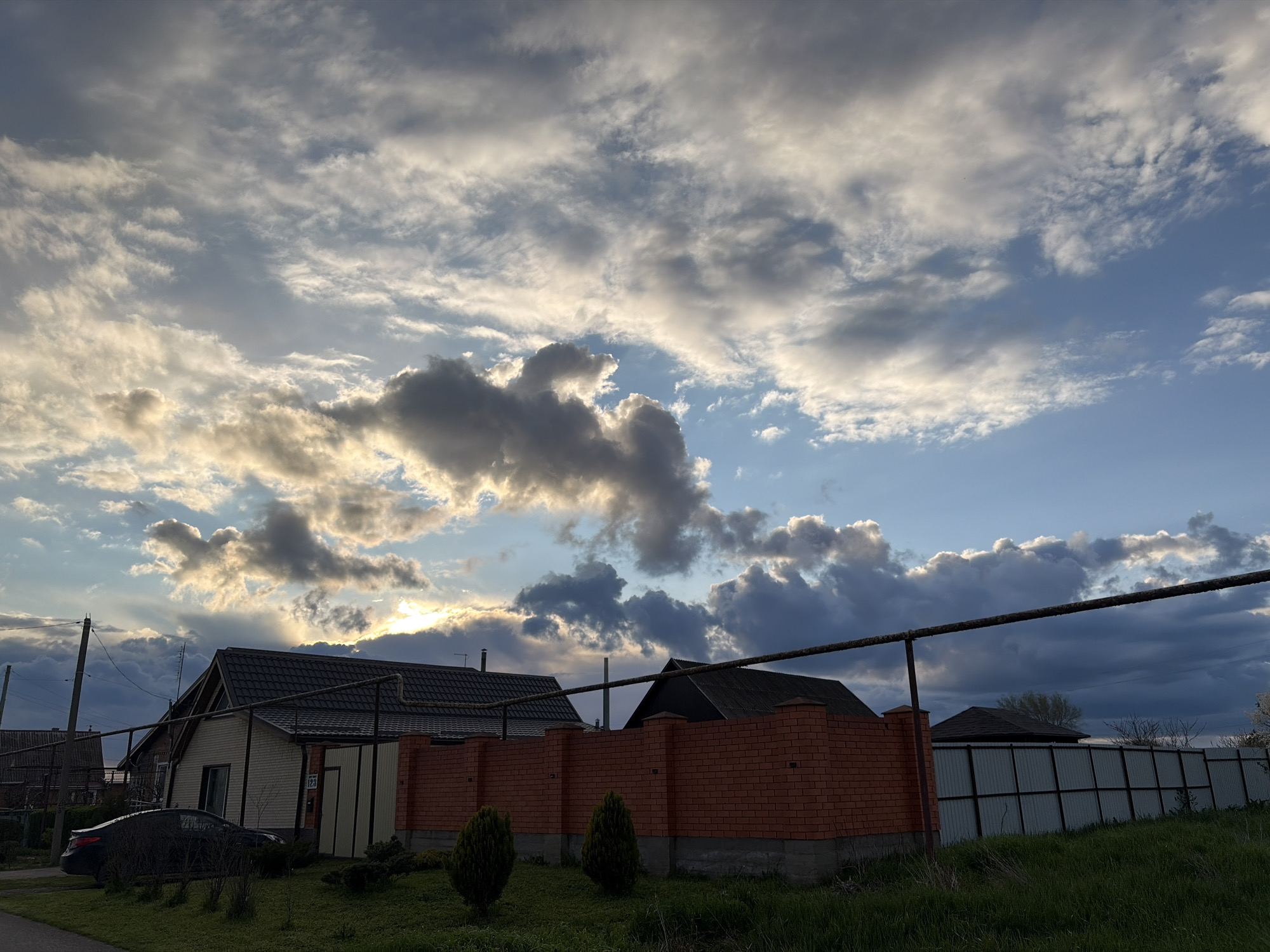 Urban life snapshots: cats, sheep, residential scenes documented
