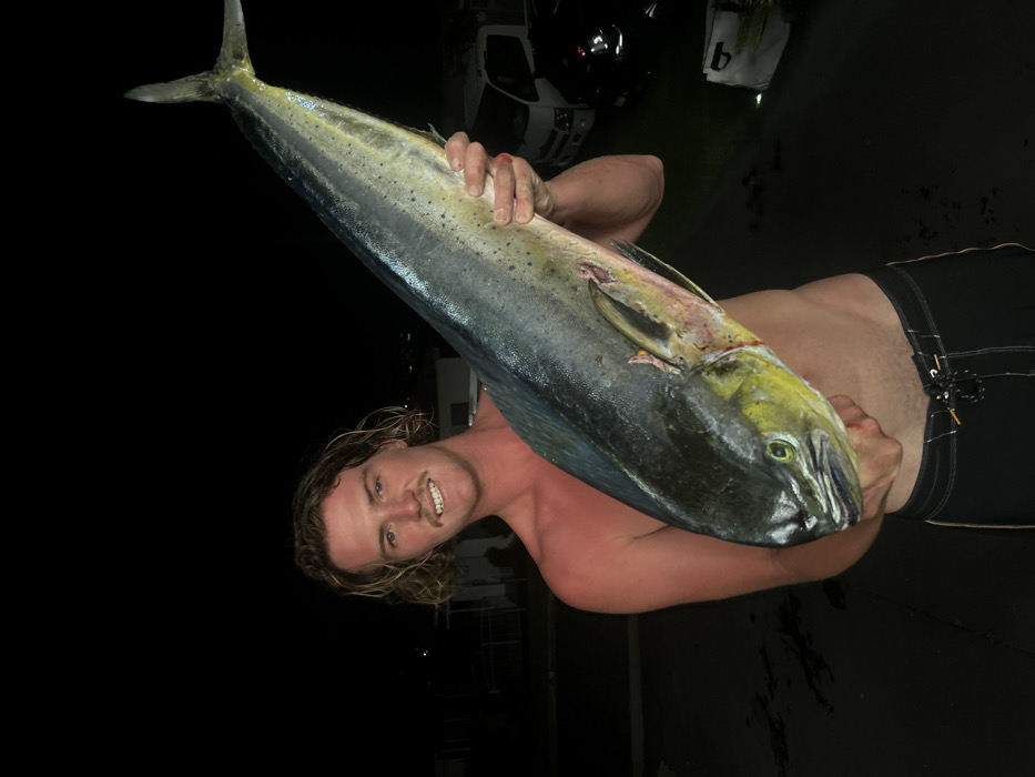 Man displays large Mahi-Mahi catch at night in Bulli