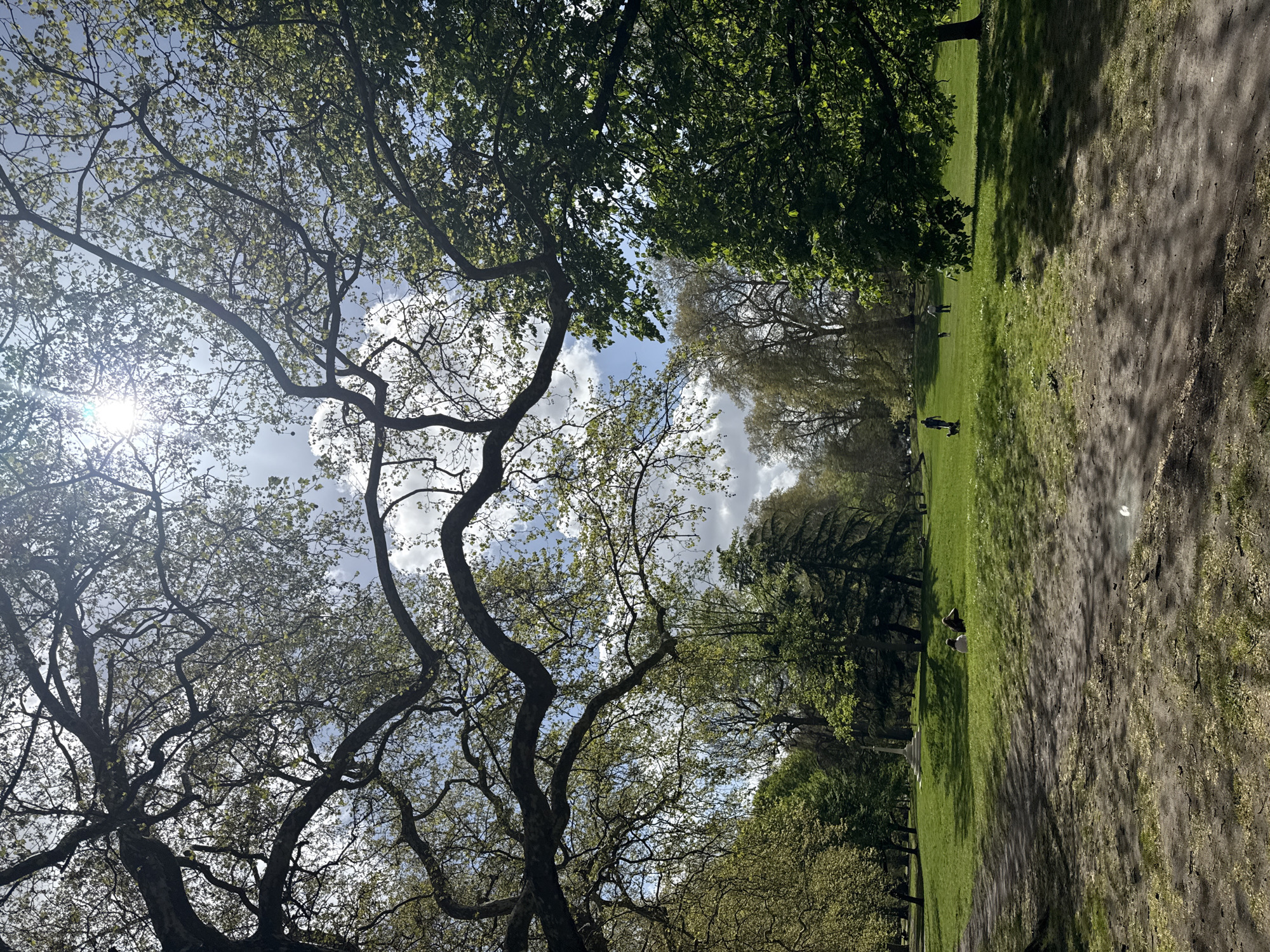 Spring afternoon activity captured in London tree-lined park