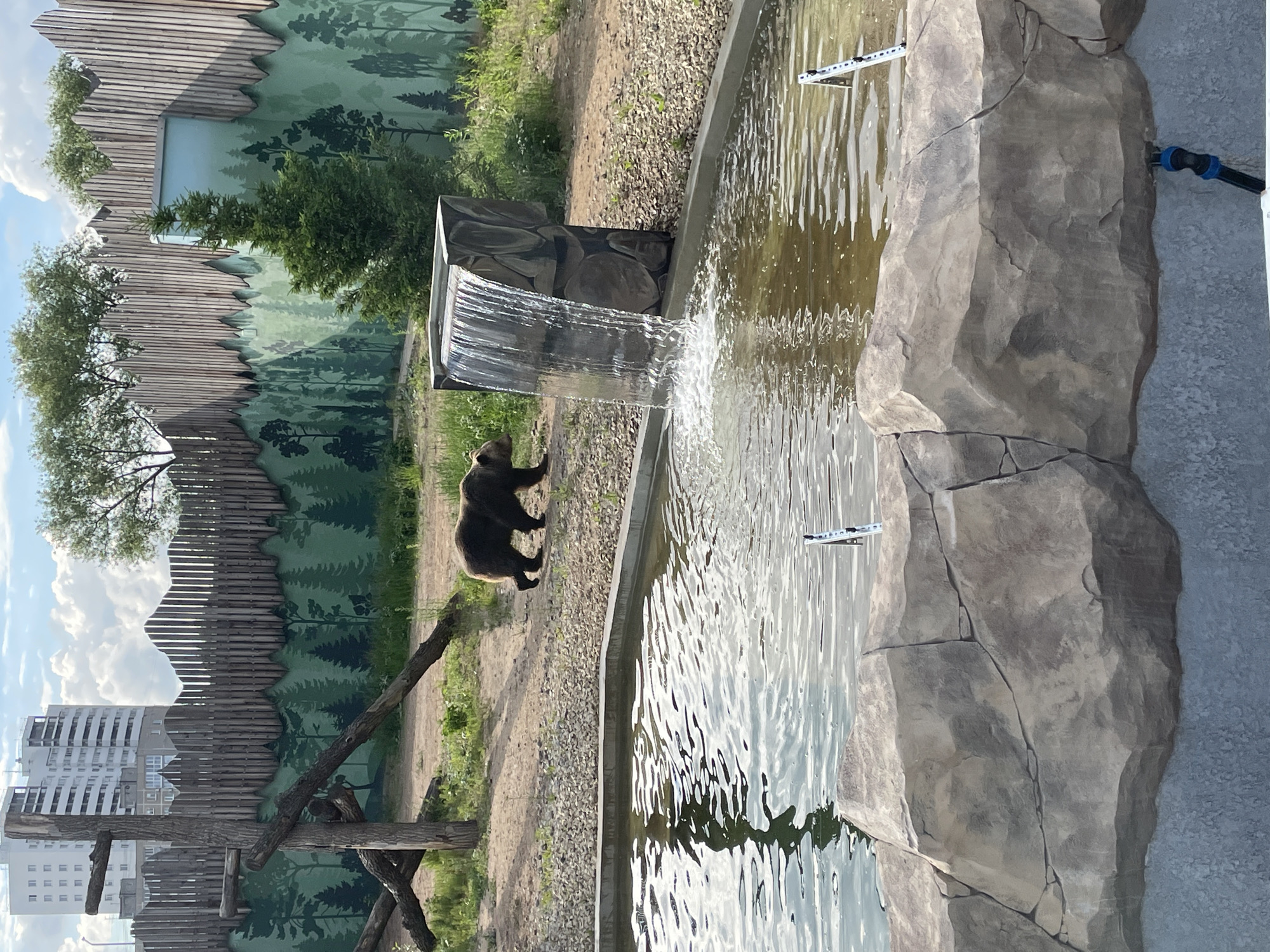 Zoo visit documented in Perm, Russia with various animals