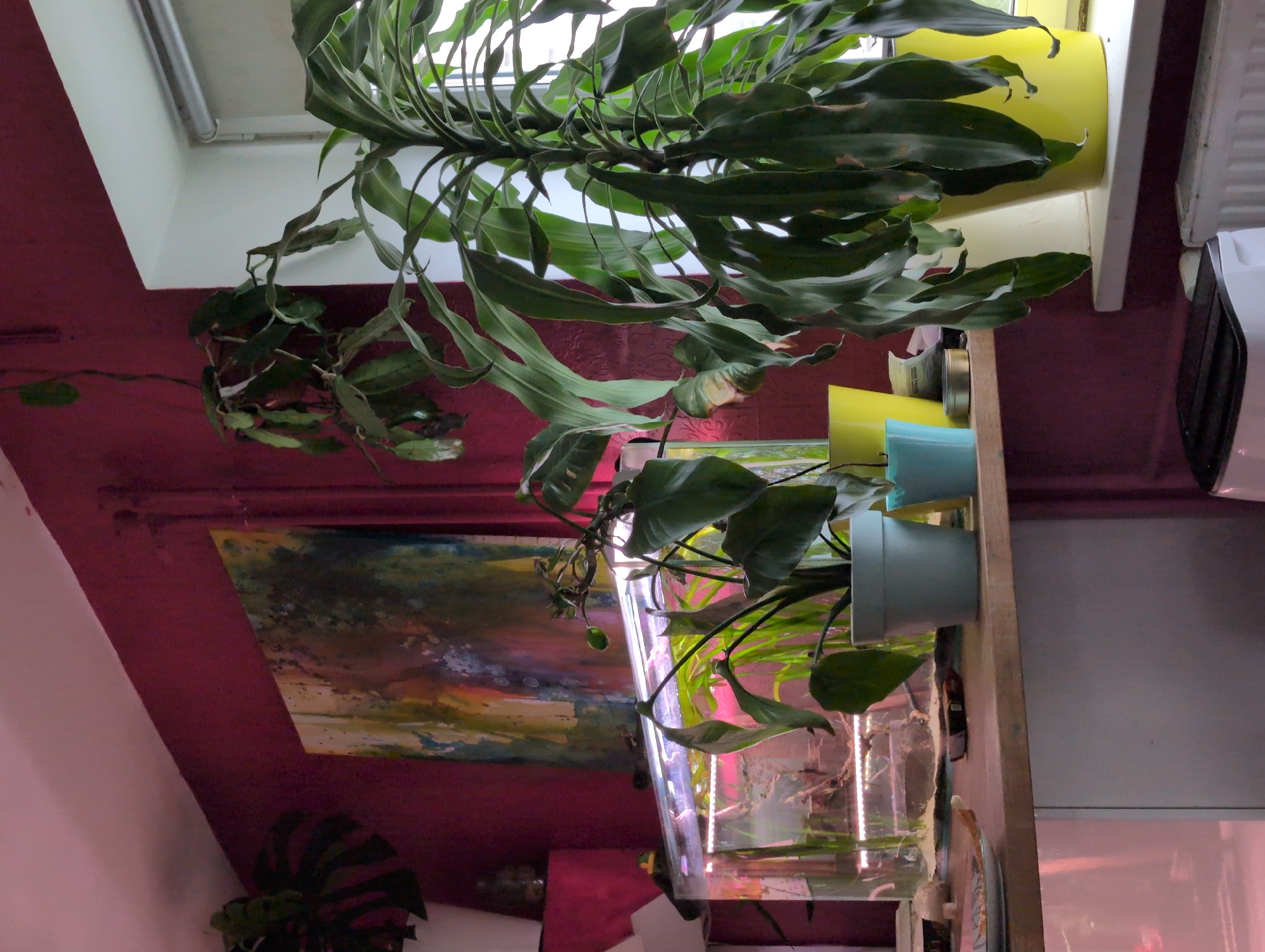 A plant-filled Saint Petersburg home with fish, birds, and forest views