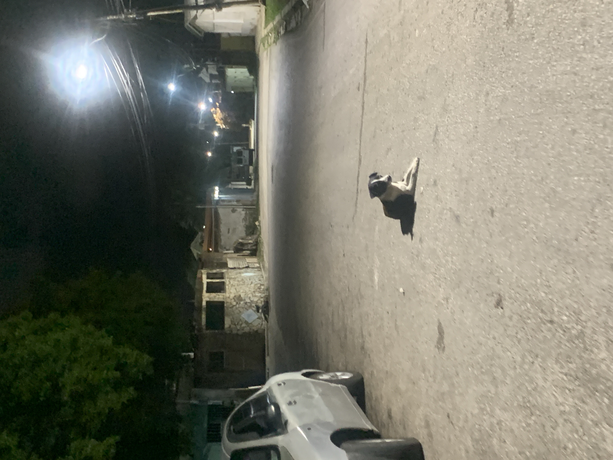 Late-night walk documented through Santa Ana, Venezuela streets