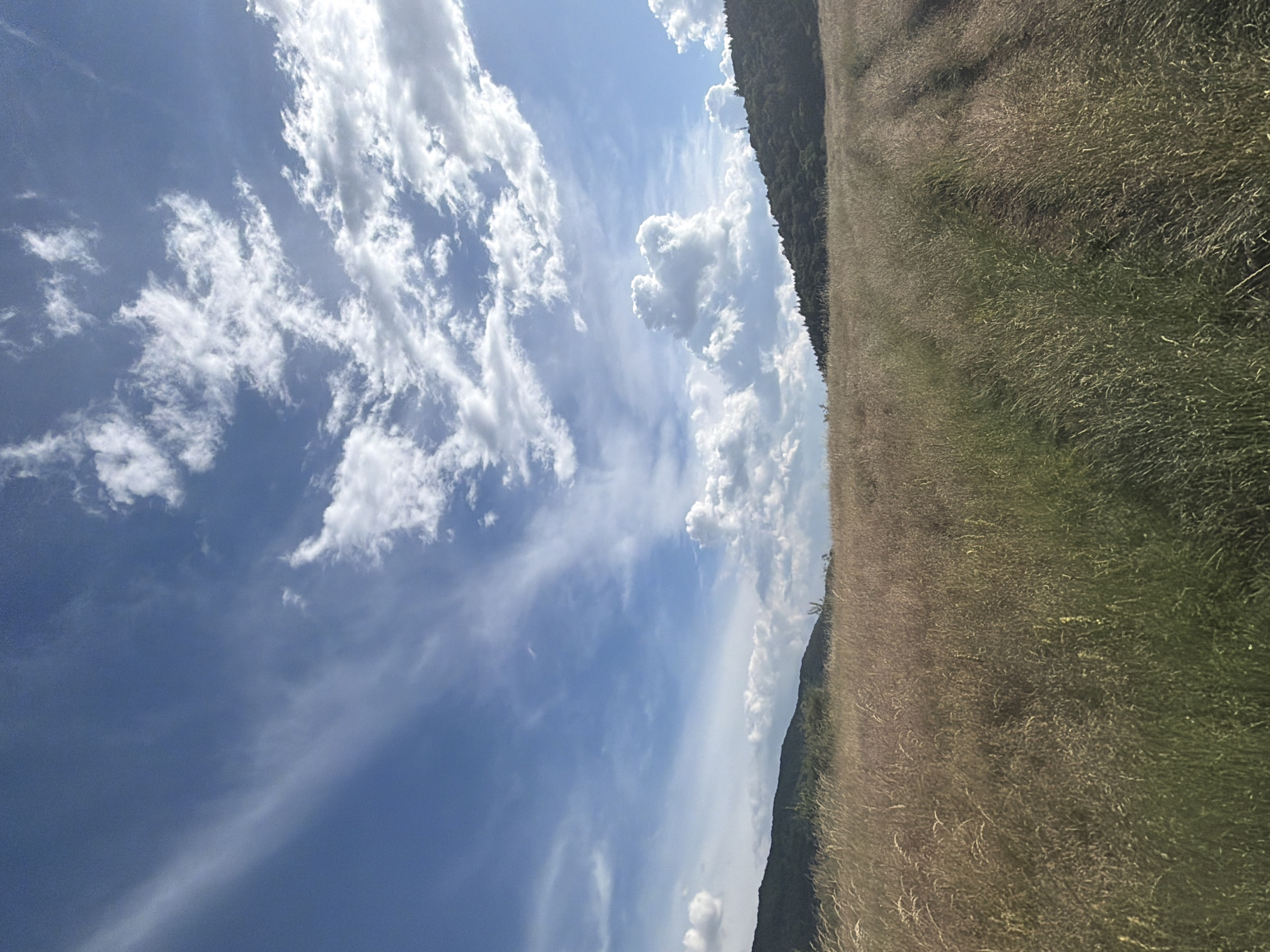 Sunny meadow and mountain views on Sofia's outskirts