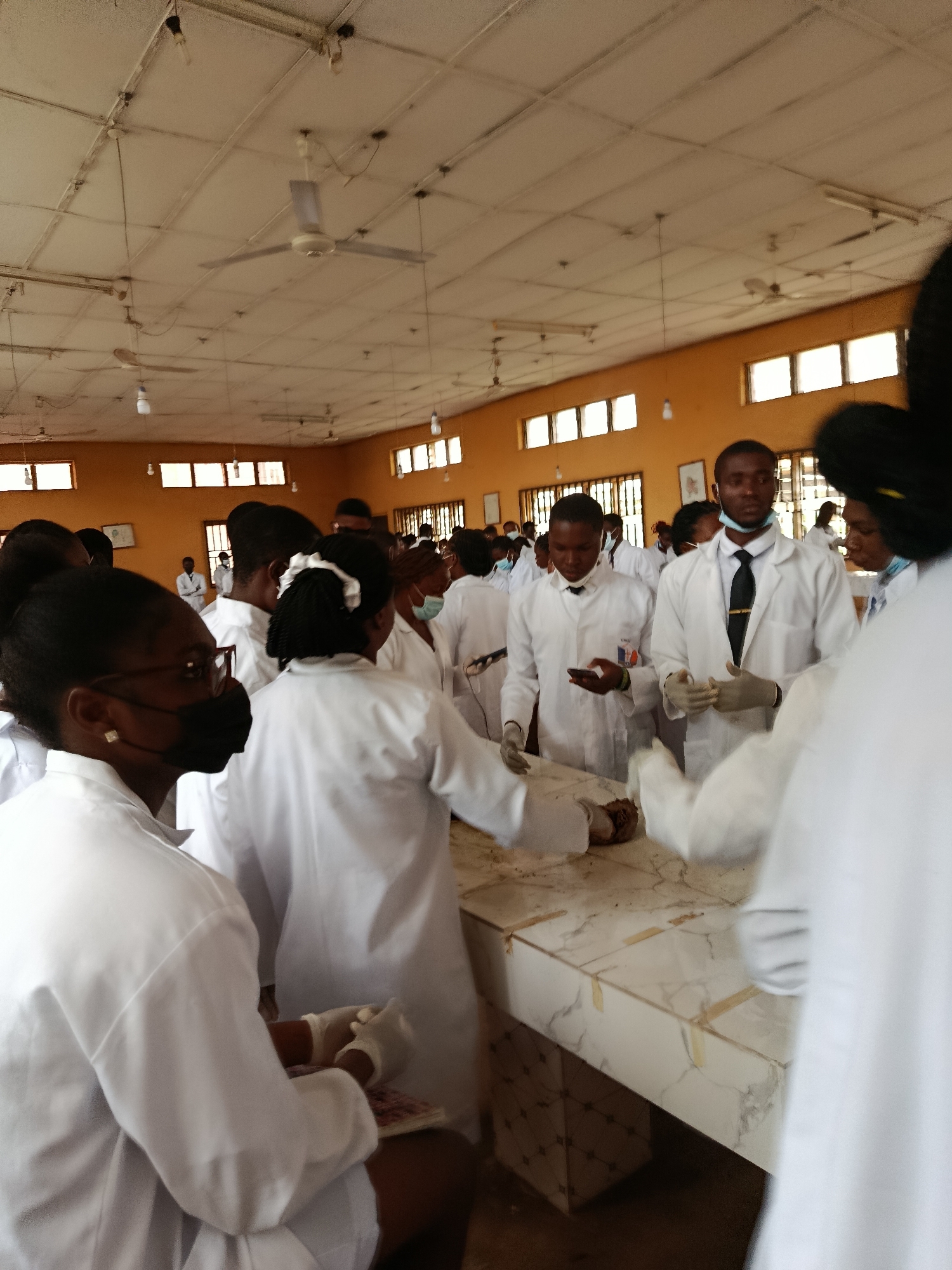 Lab coat session around dissection tables in a classroom setting