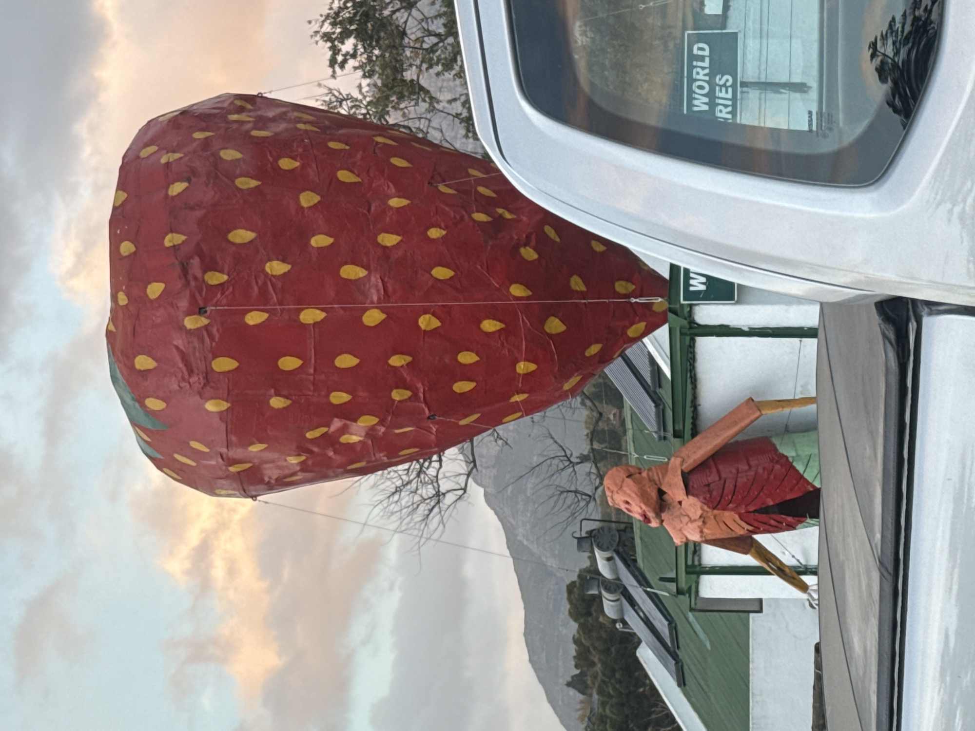 Red strawberry balloon spotted tethered in Stellenbosch