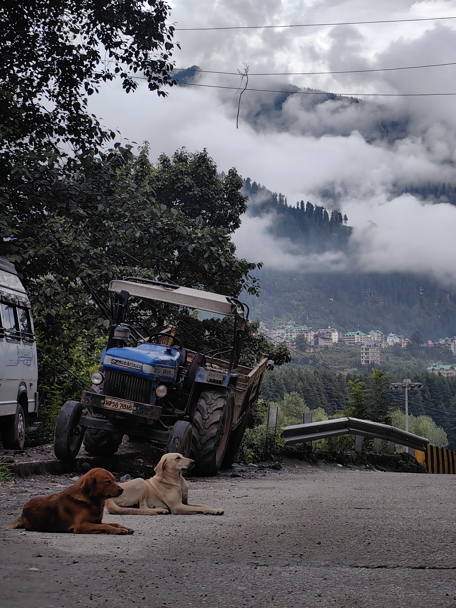 Tractors, dogs, and foot traffic on rural Himachal roads