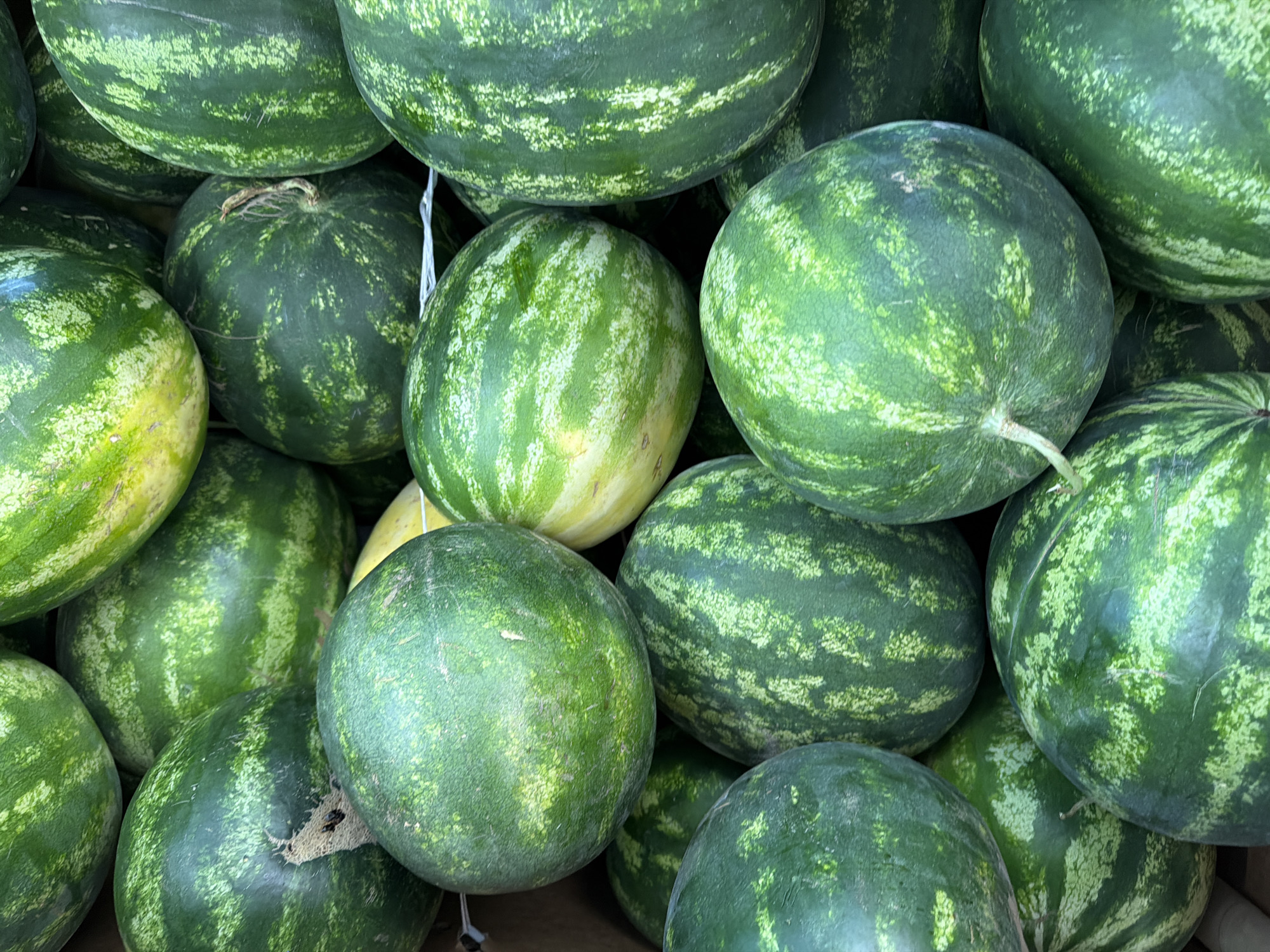 Overhead shots of fresh produce, snacks, and a sidewalk cat