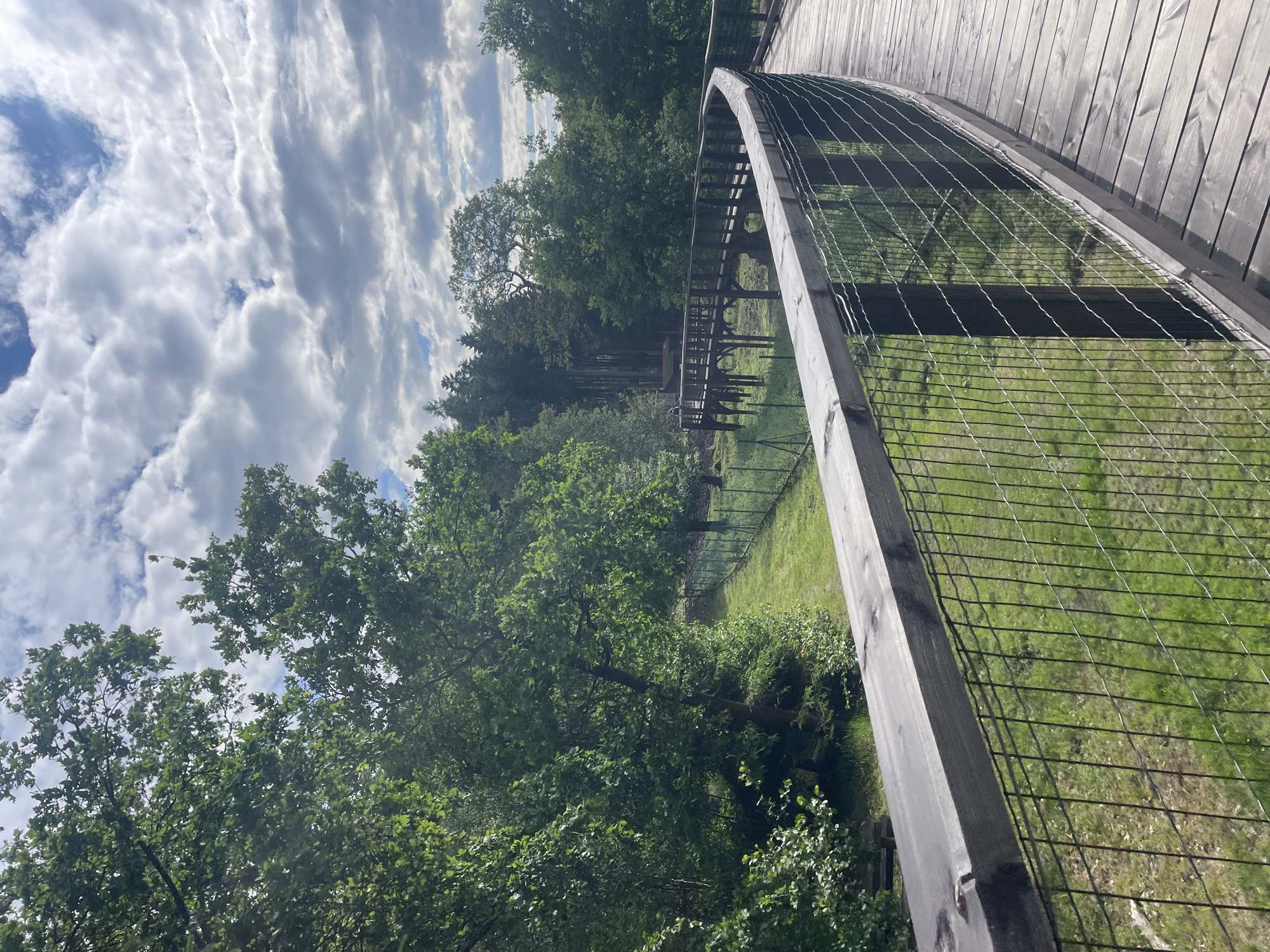 Visitor documents wildlife viewing at Karlovy Vary Tree Crown Walkway